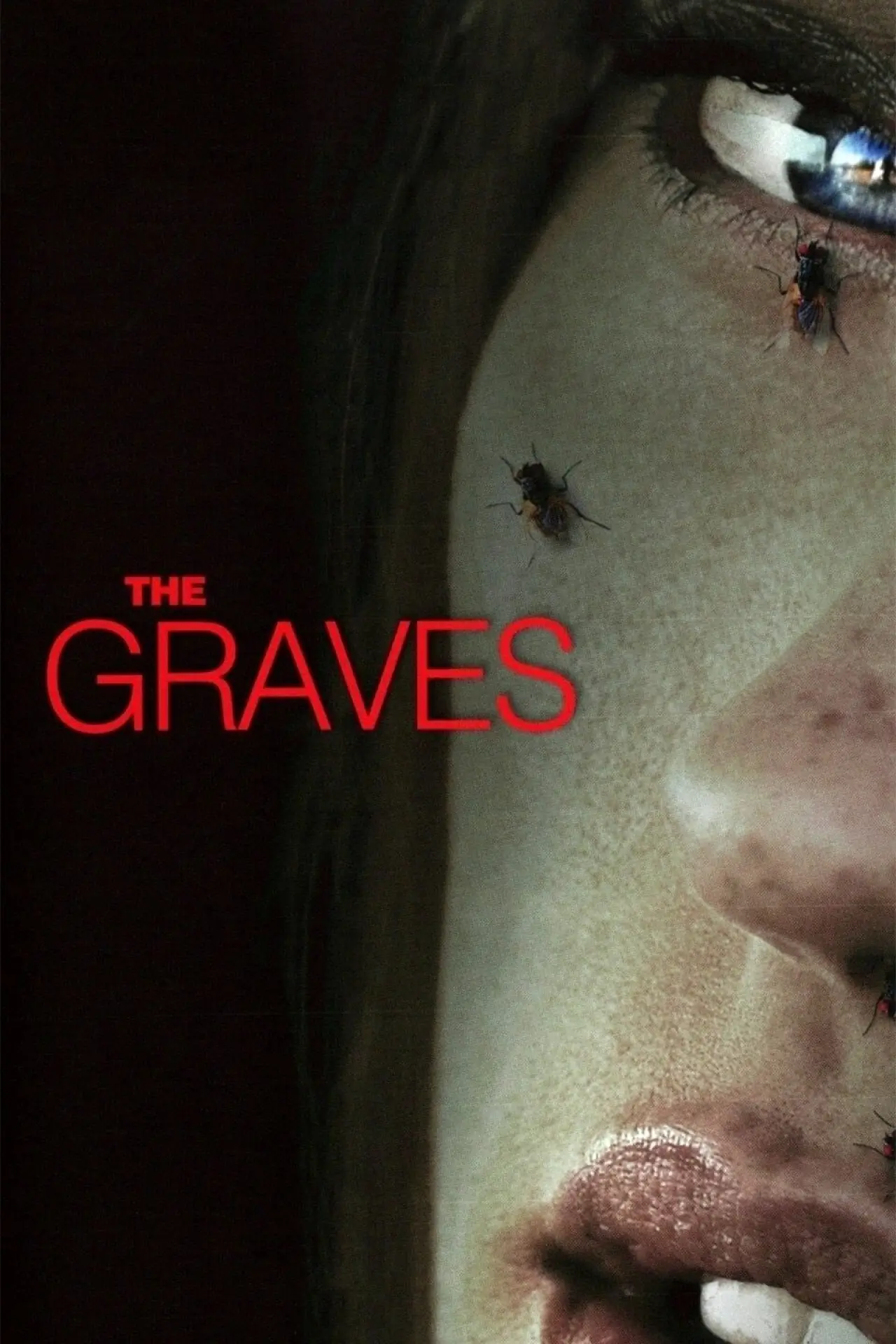 Постер до фільму "The Graves"