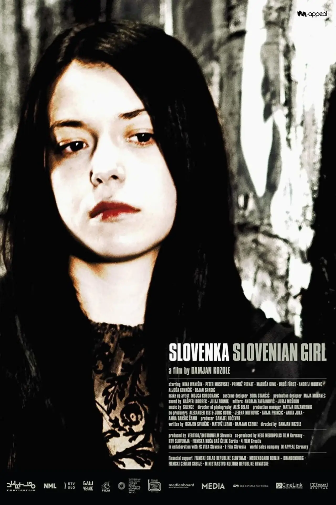 Постер до фільму "Slovenka"