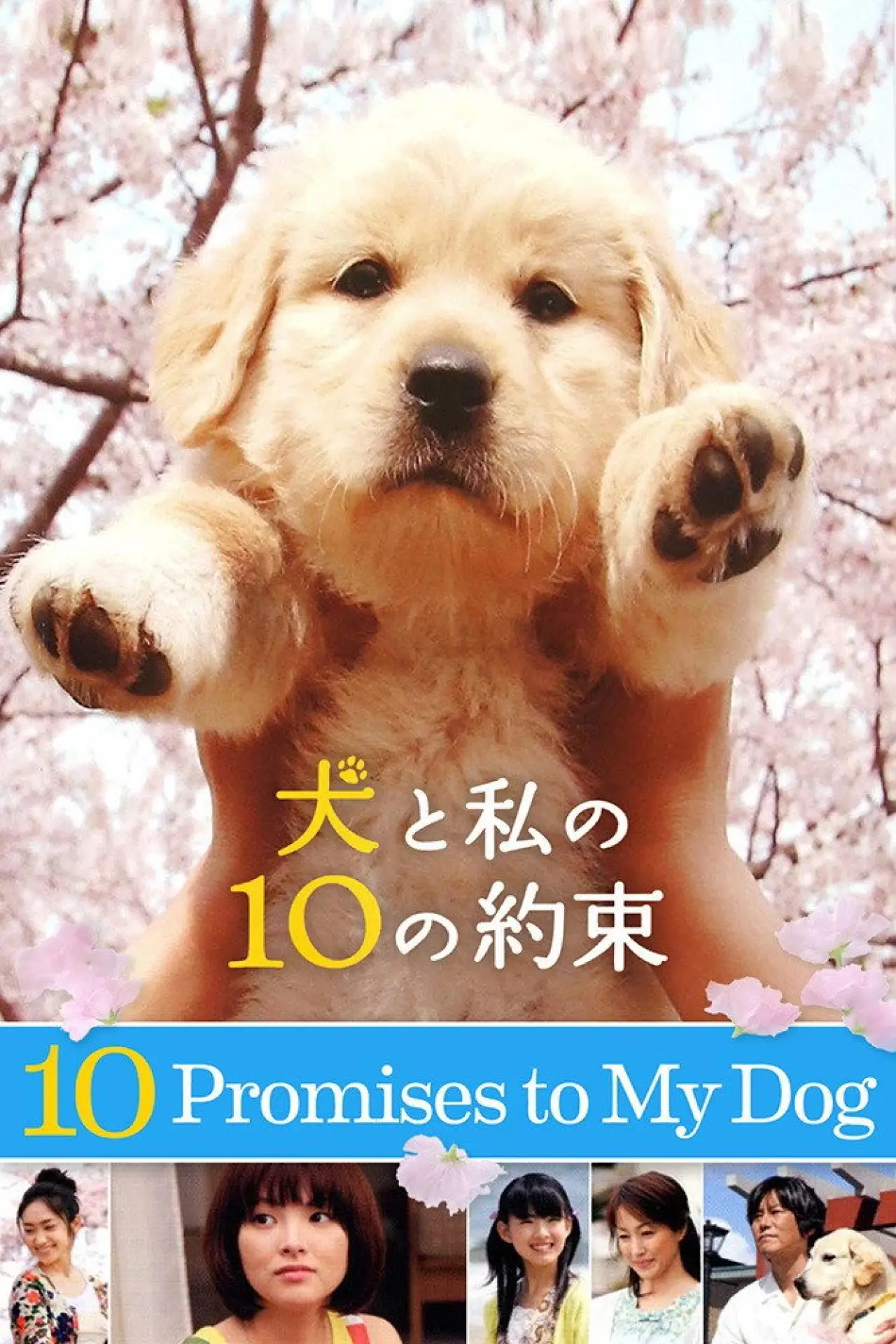 Постер до фільму "犬と私の10の約束"