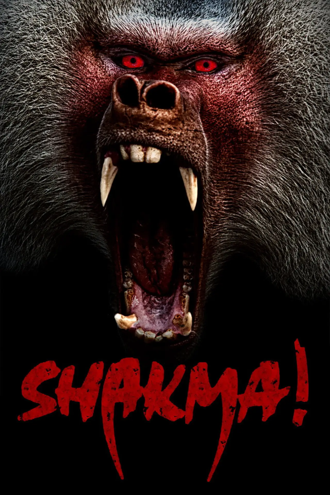 Постер до фільму "Shakma"