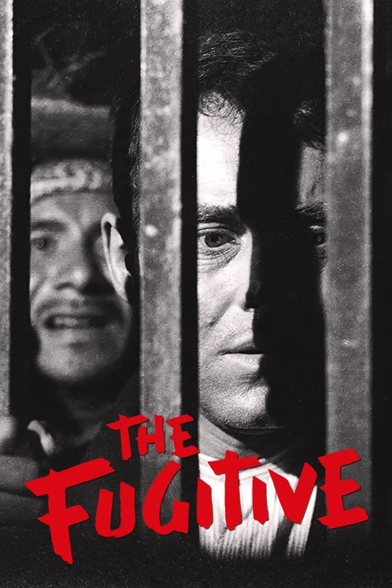 Постер до фільму "The Fugitive"