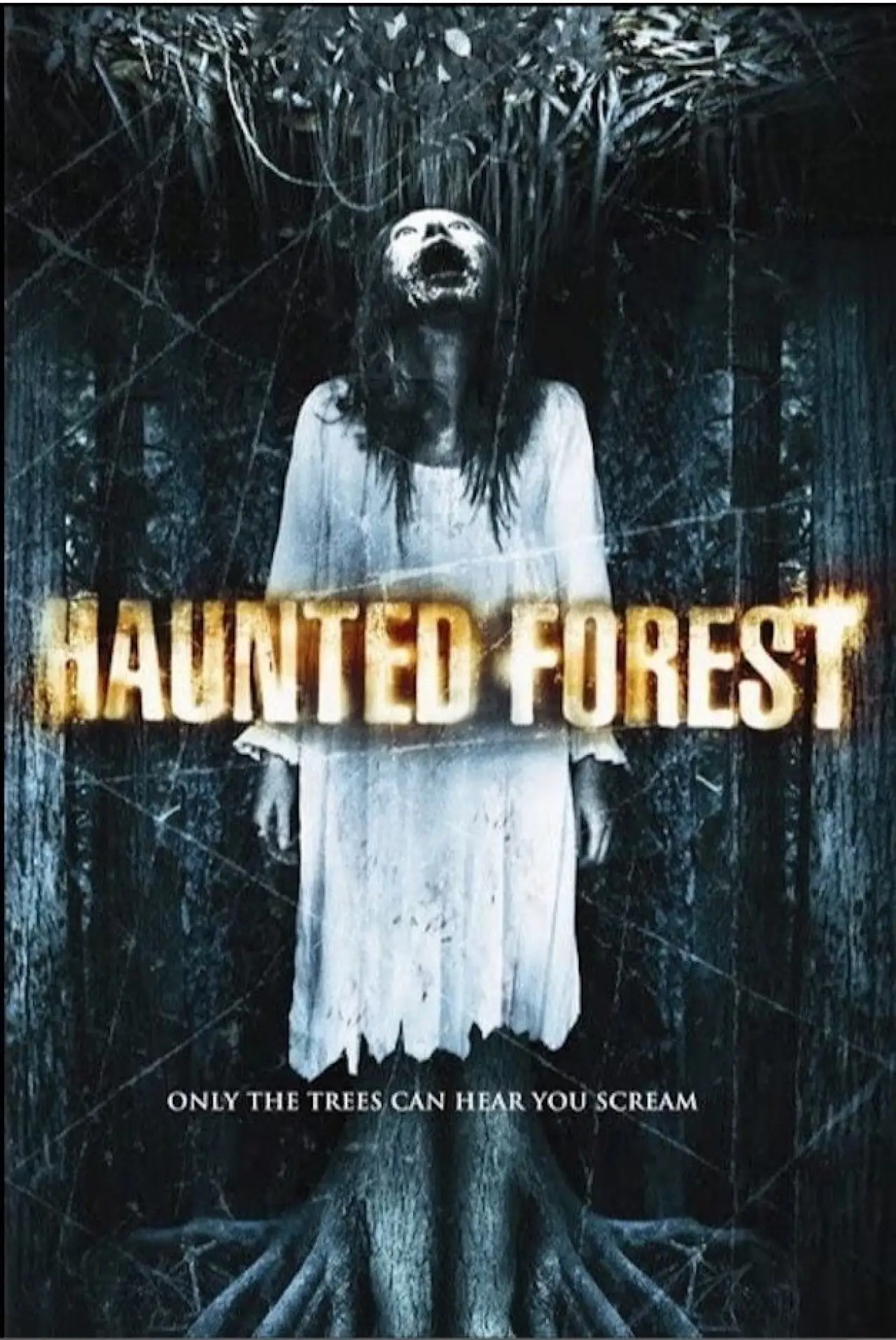 Постер до фільму "Haunted Forest"