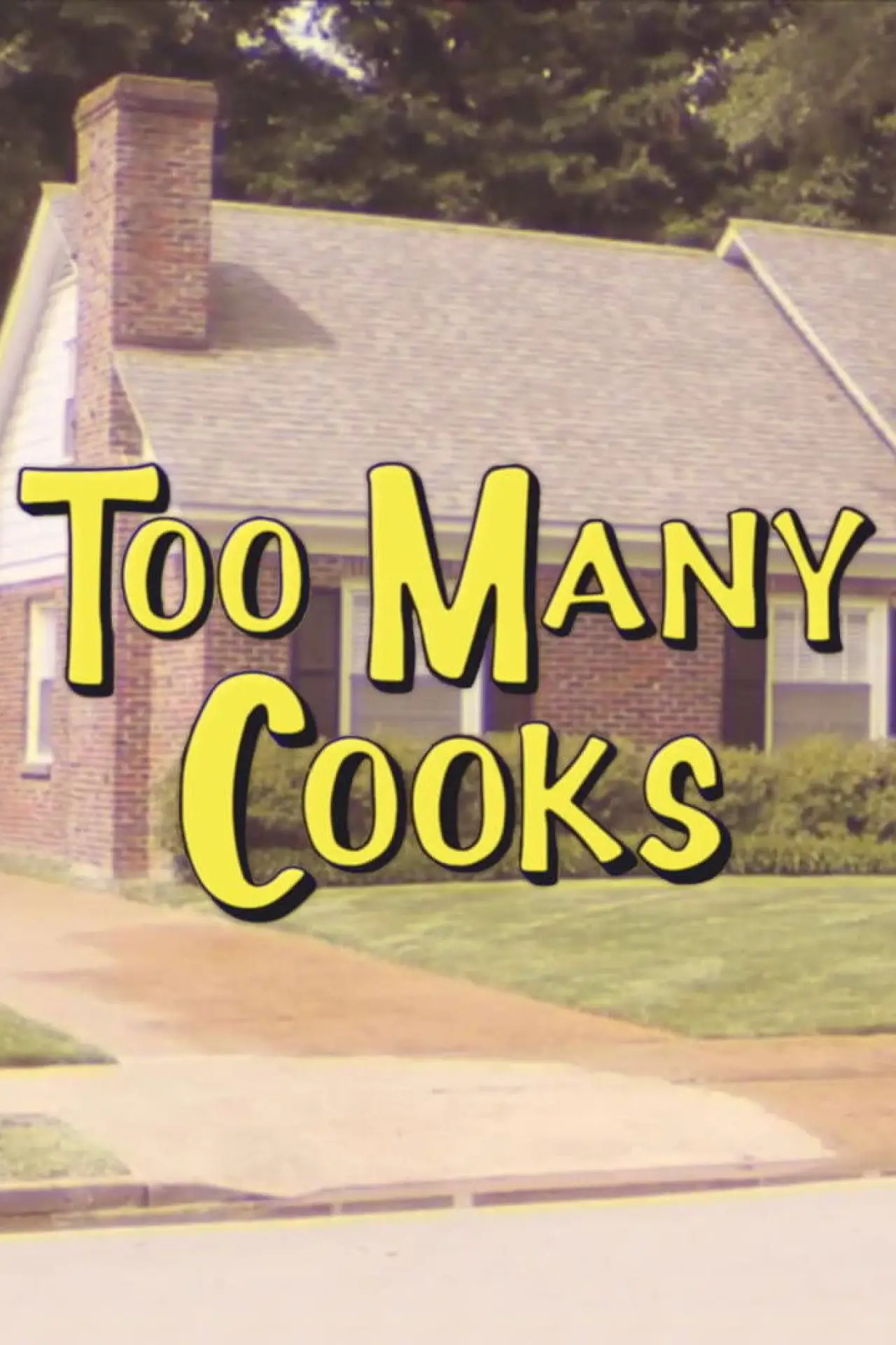 Постер до фільму "Too Many Cooks"