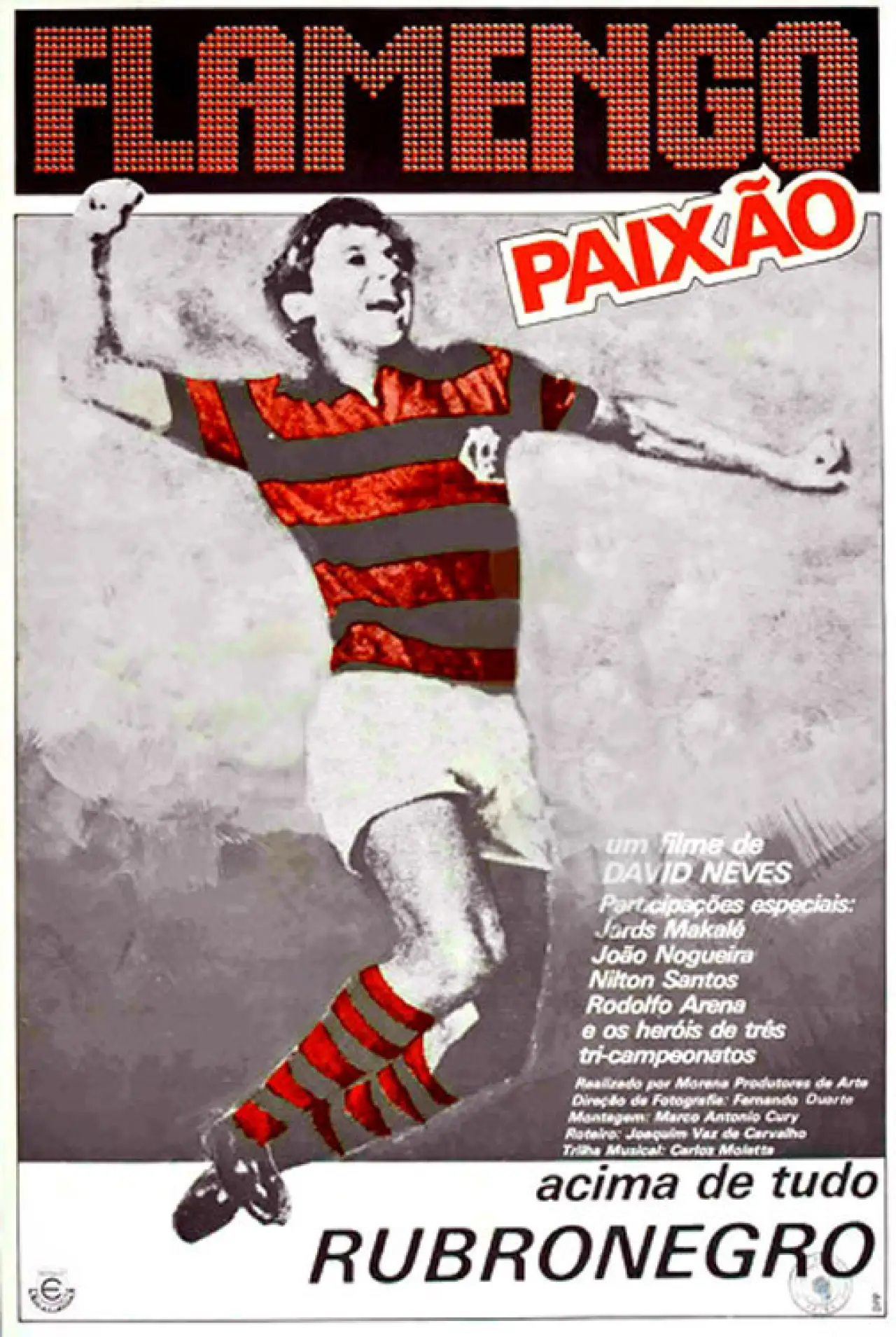 Постер до фільму "Flamengo Paixão"