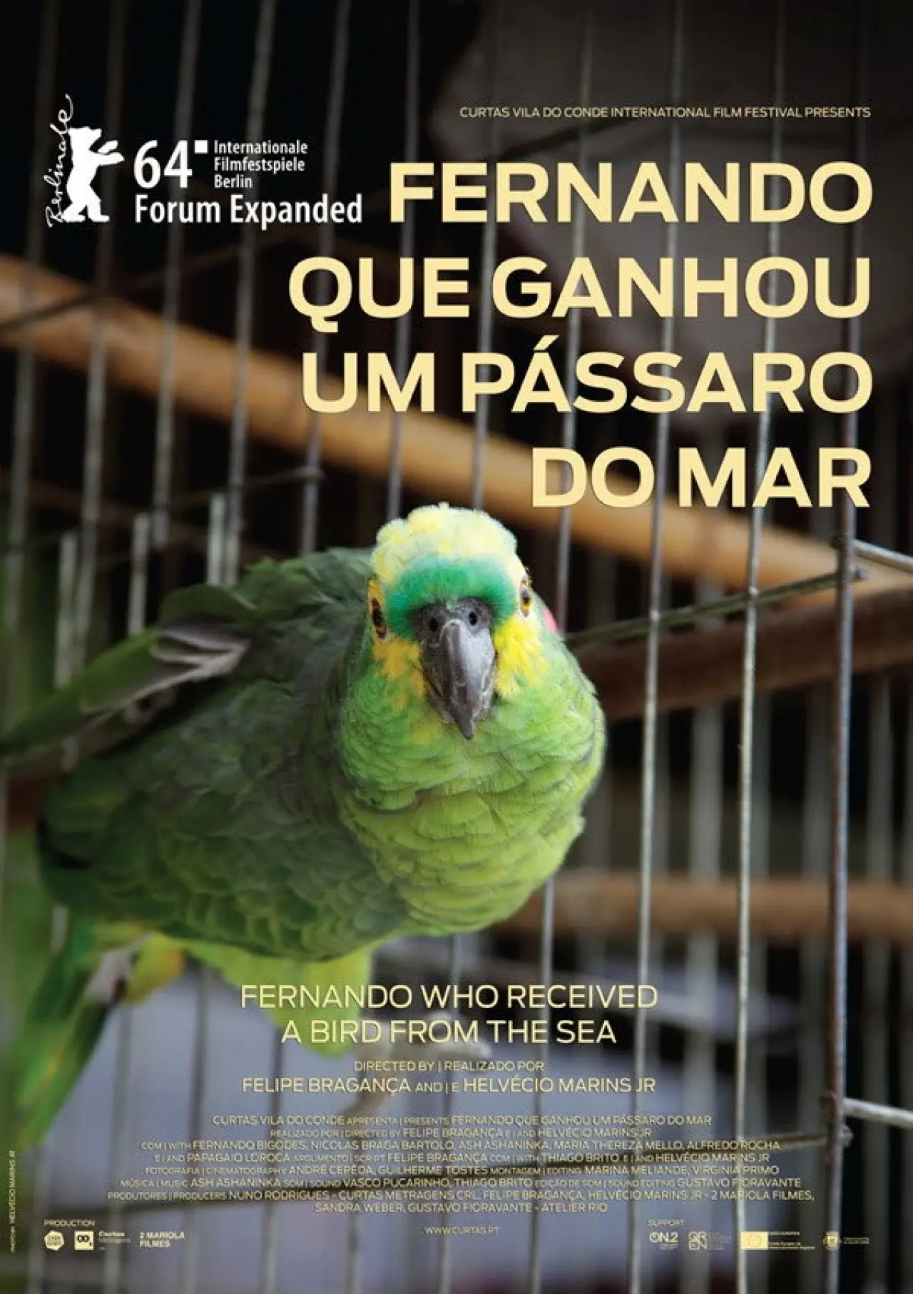 Постер до фільму "Fernando que Ganhou um Pássaro do Mar"