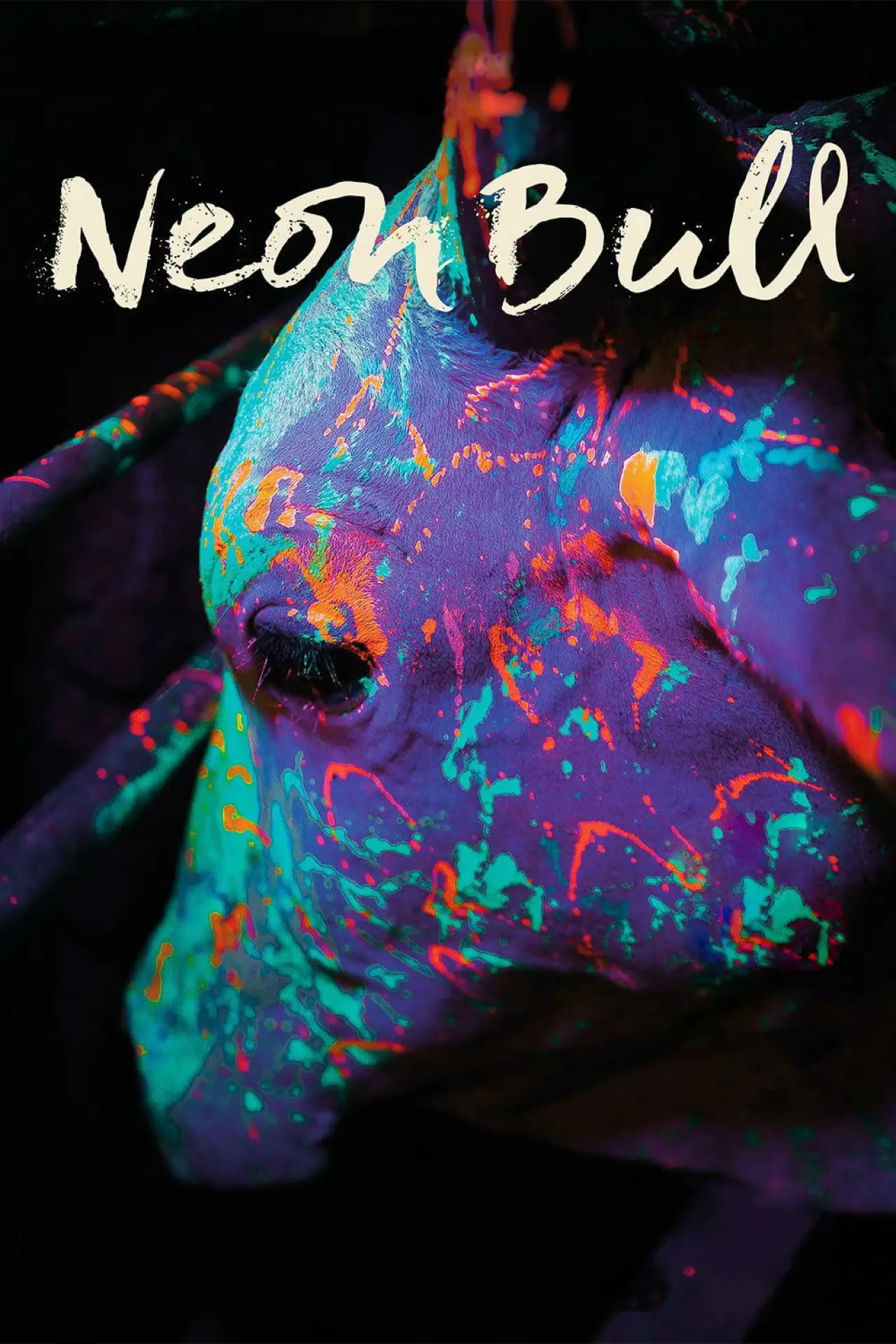 Постер до фільму "Boi Neon"