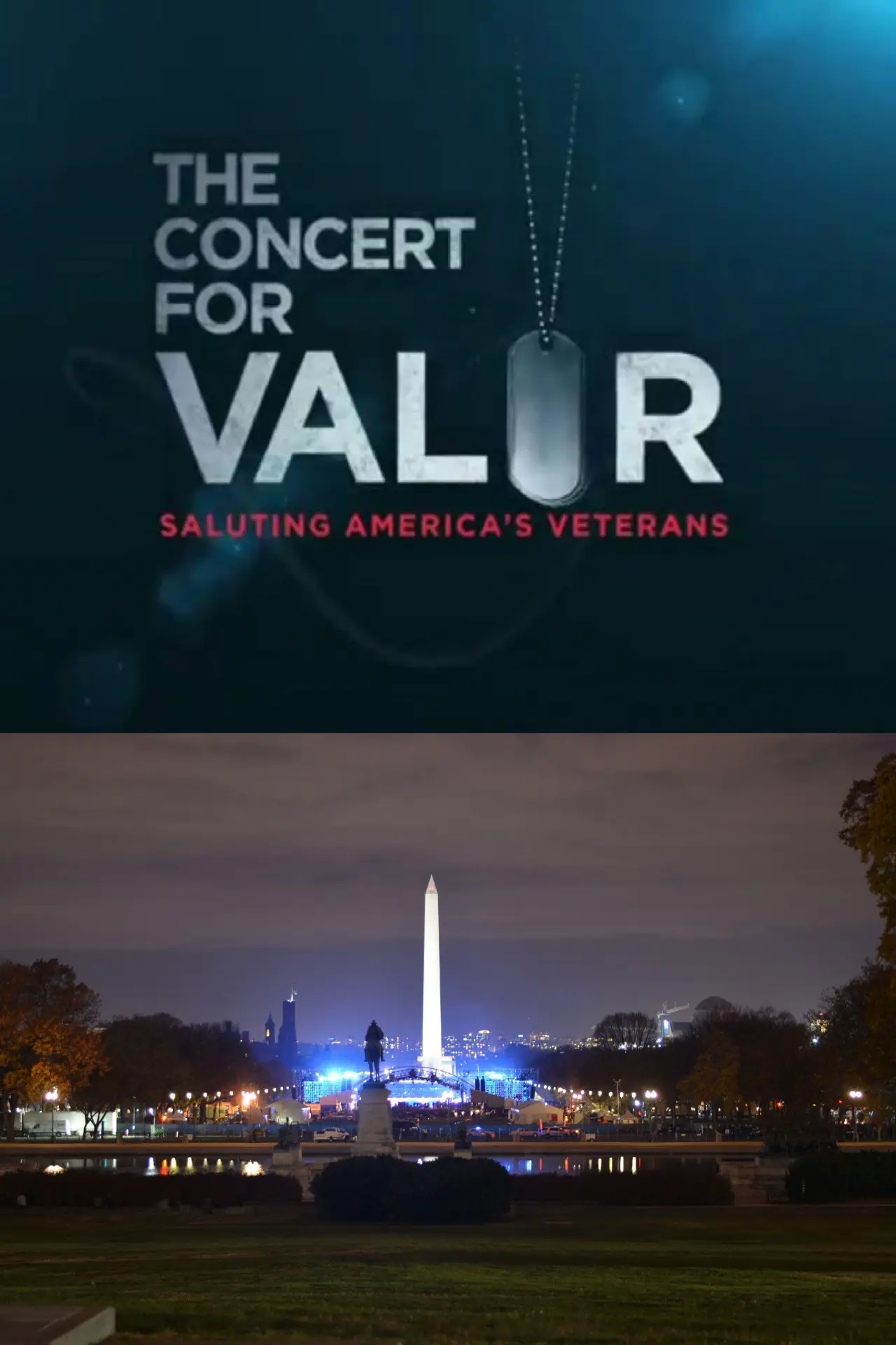 Постер до фільму "The Concert for Valor"
