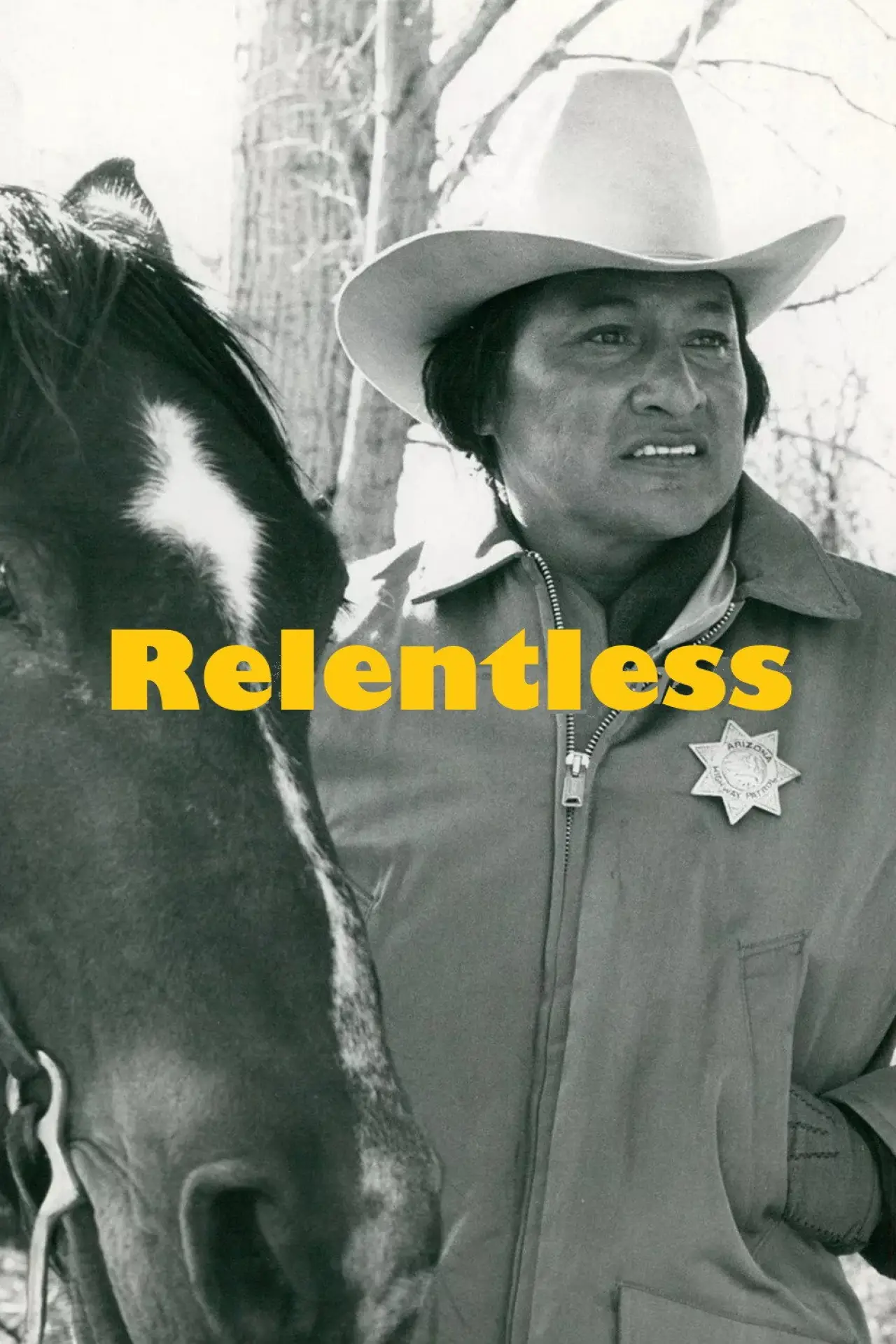 Постер до фільму "Relentless"