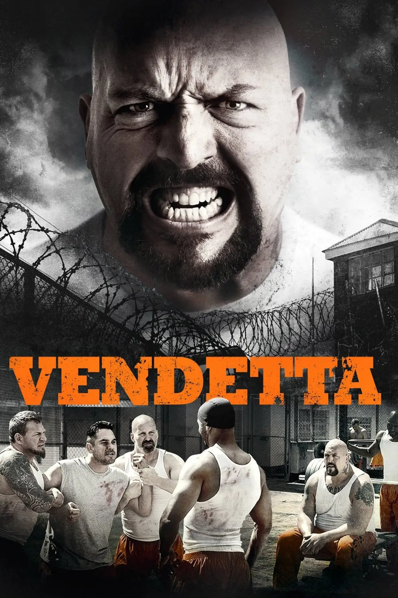 Постер до фільму "Vendetta"