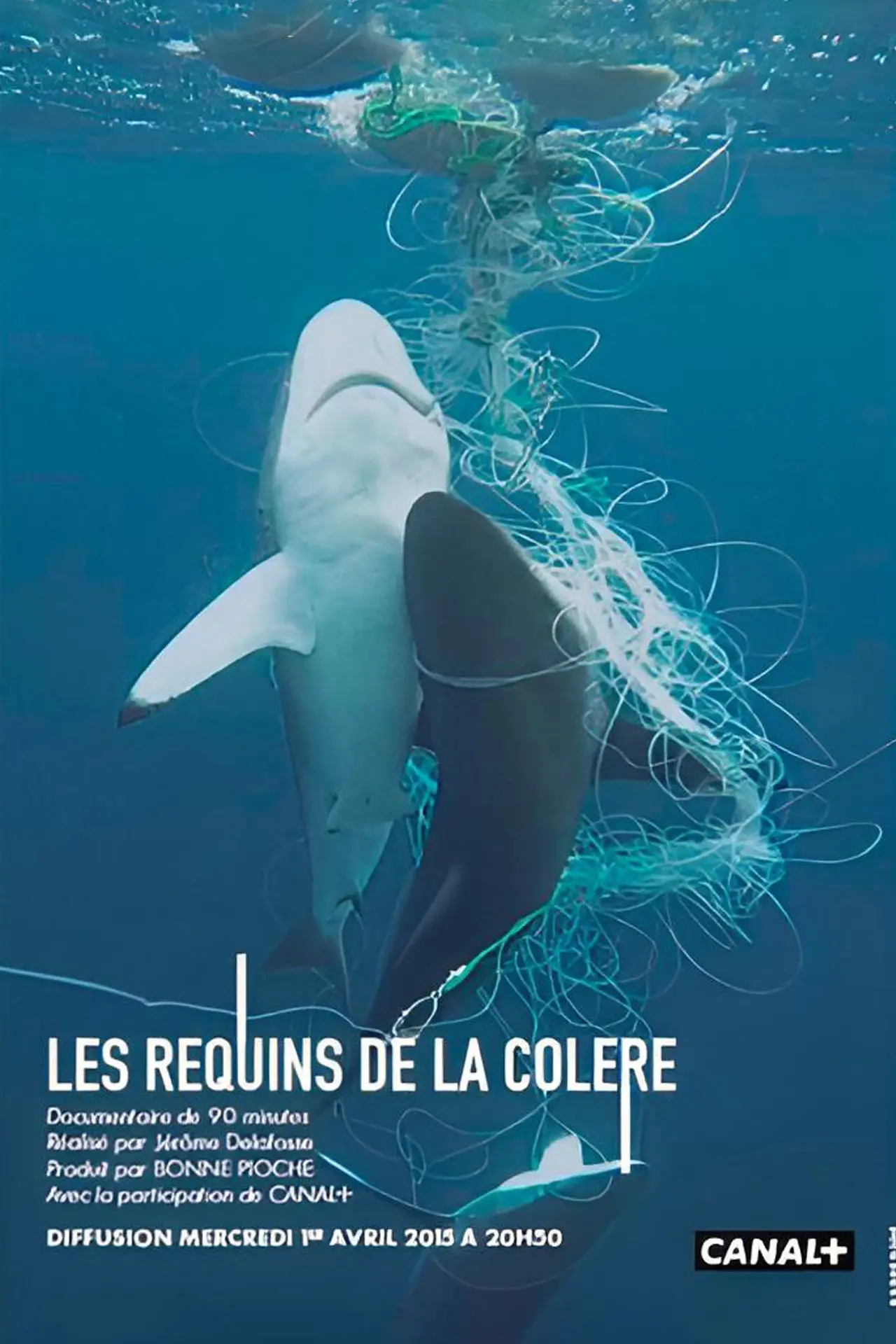 Постер до фільму "Les Requins de la Colère"