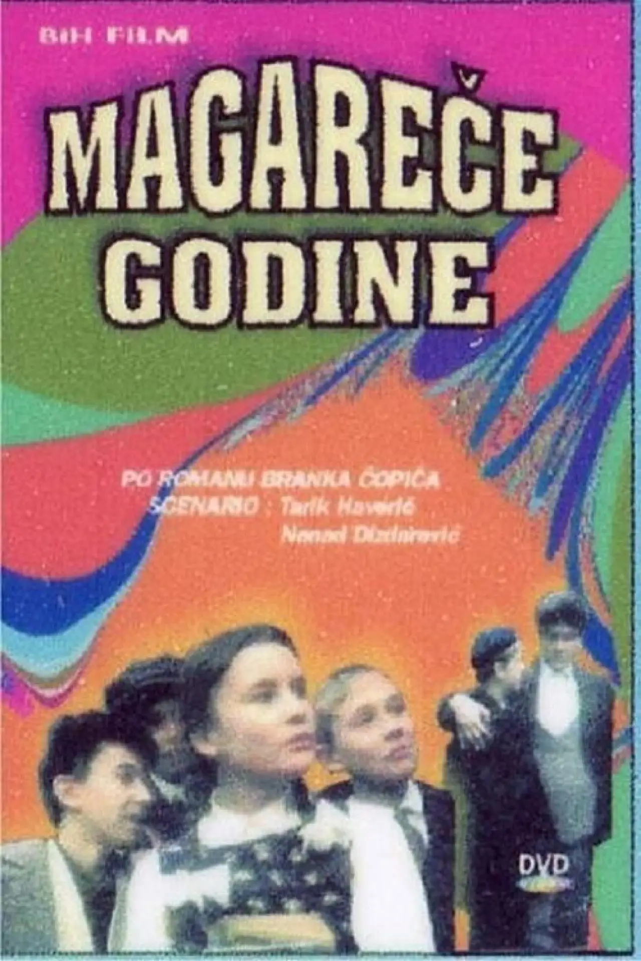Постер до фільму "Magareće godine"