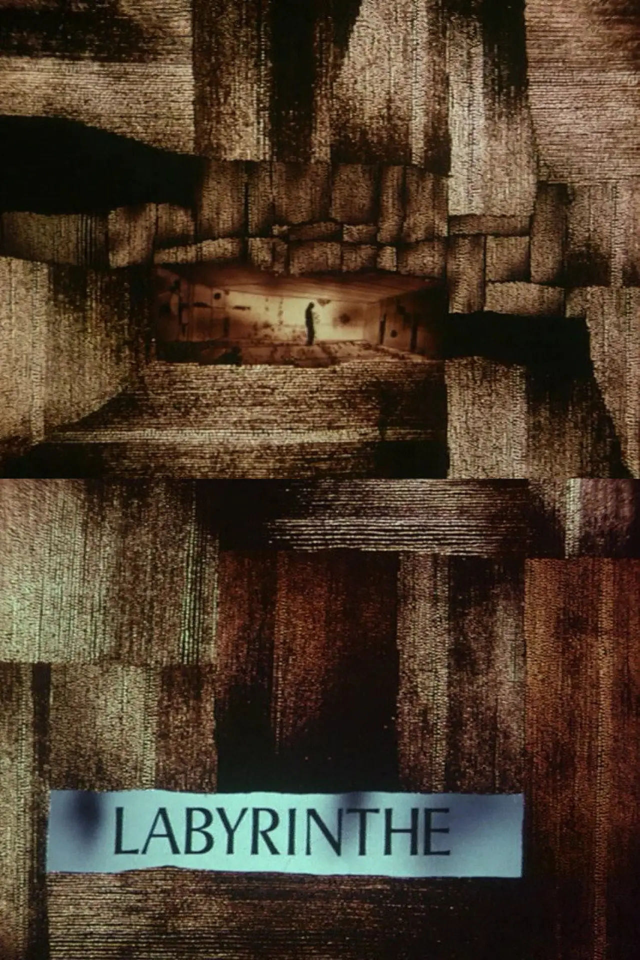 Постер до фільму "Le labyrinthe"