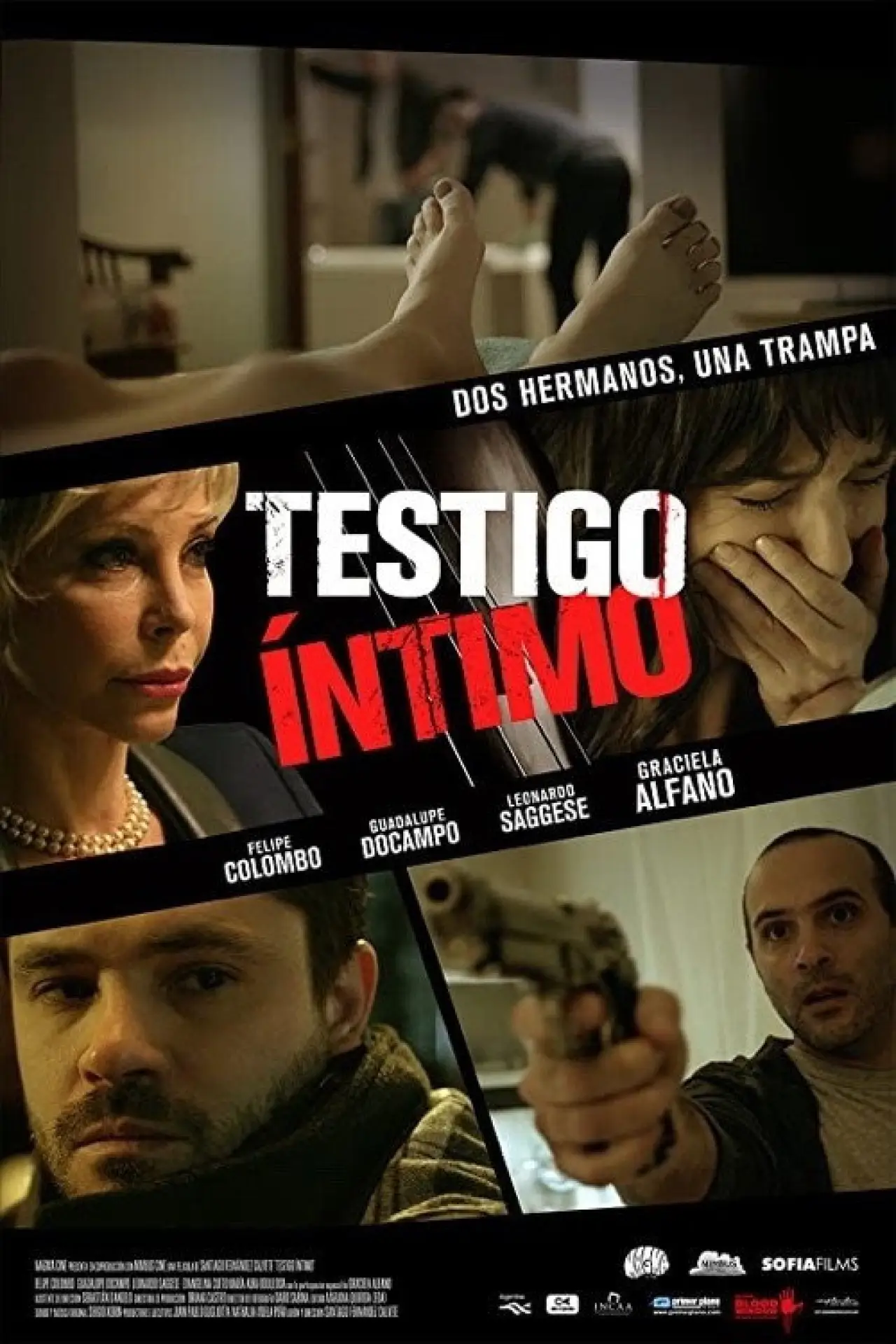 Постер до фільму "Testigo íntimo"