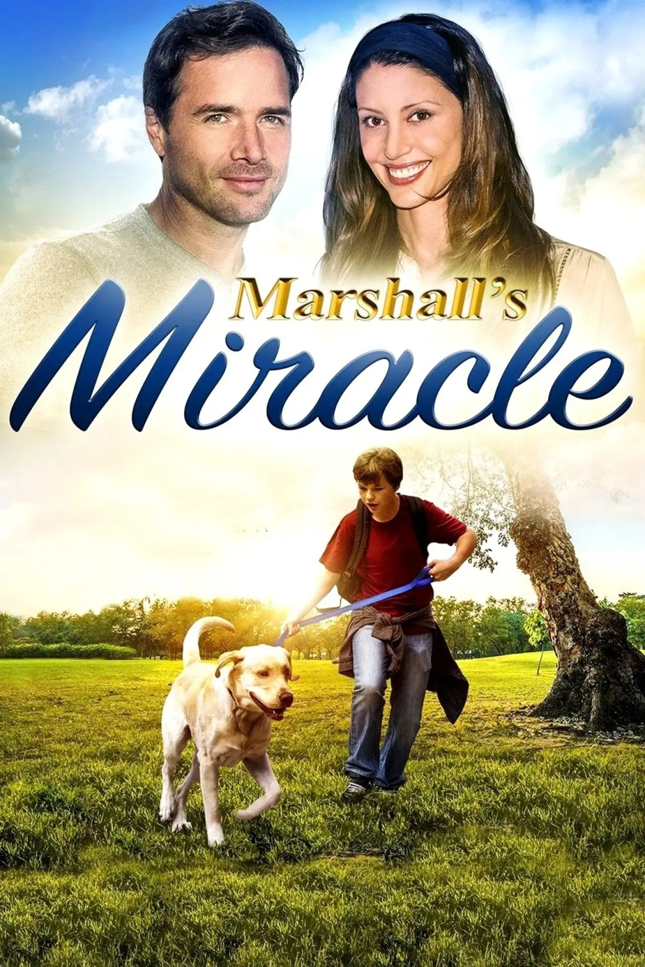 Постер до фільму "Marshall