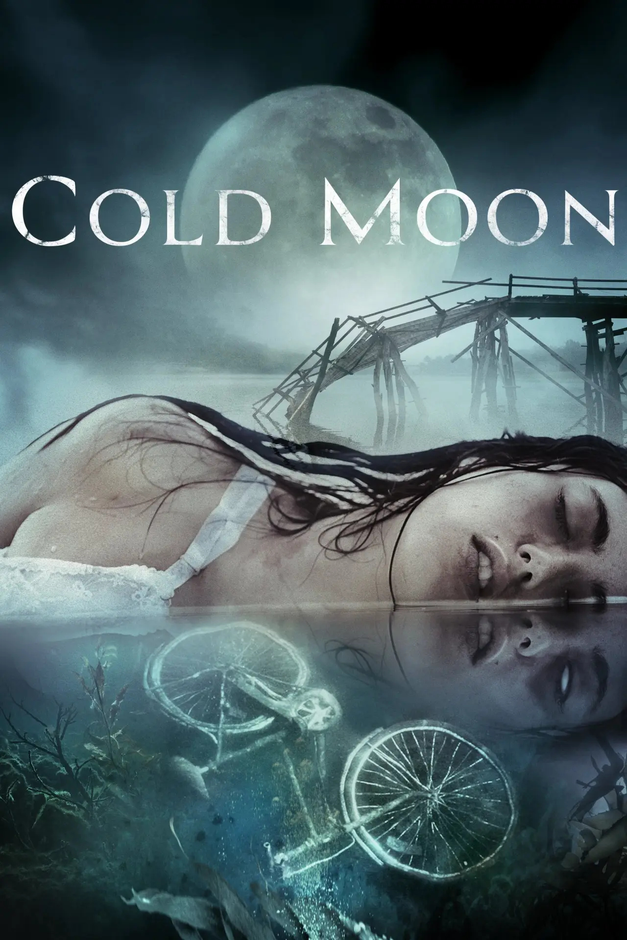 Постер до фільму "Cold Moon"