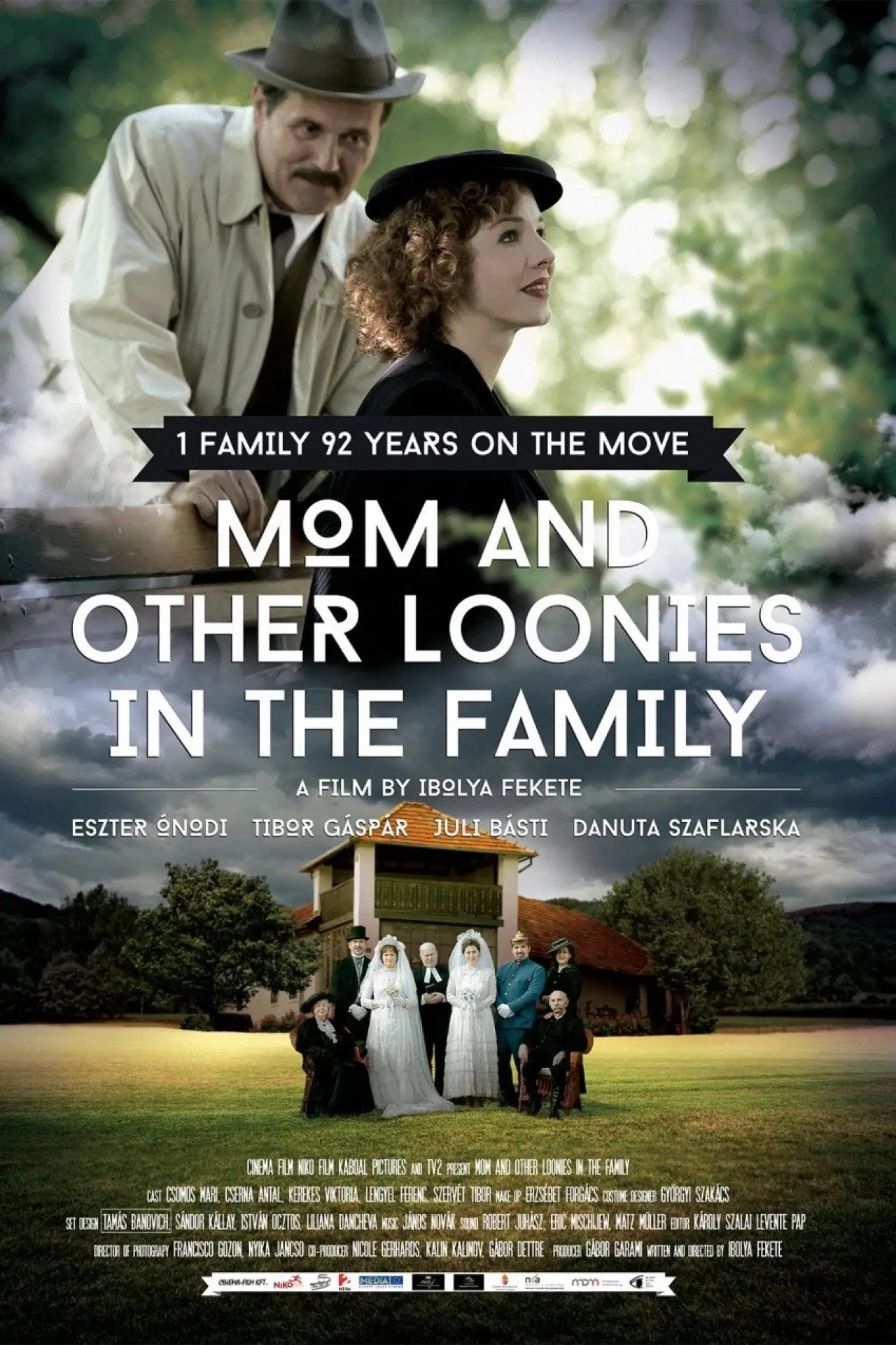 Постер до фільму "Mom and Other Loonies in the Family"
