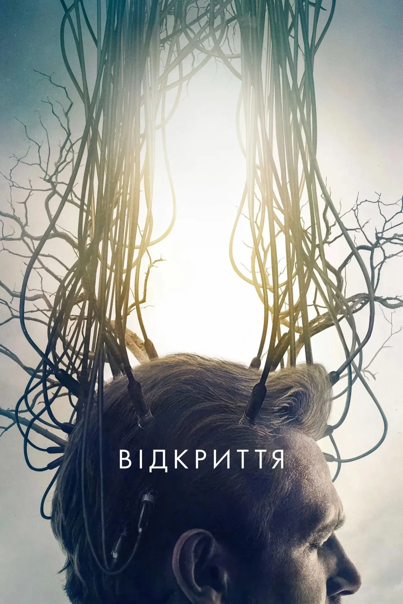 Постер до фільму "Відкриття"