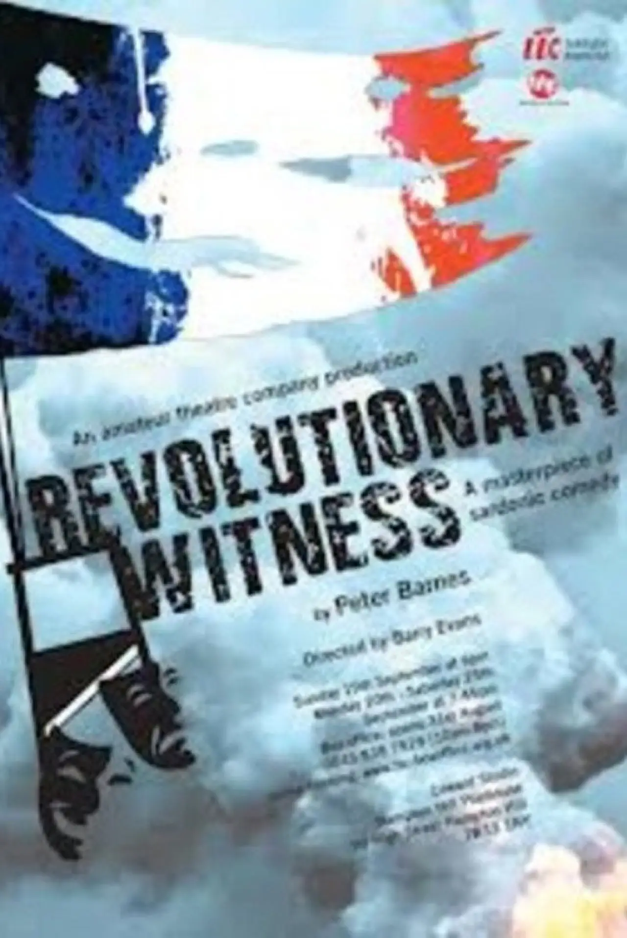 Постер до фільму "Revolutionary Witness"