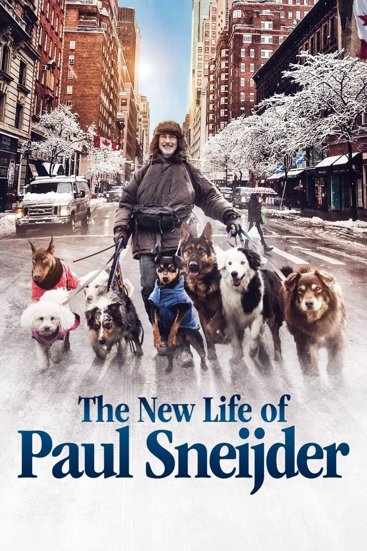 Постер до фільму "La Nouvelle Vie de Paul Sneijder"