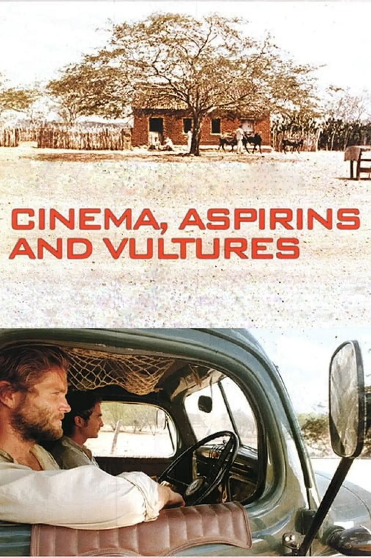 Постер до фільму "Cinema, Aspirinas e Urubus"