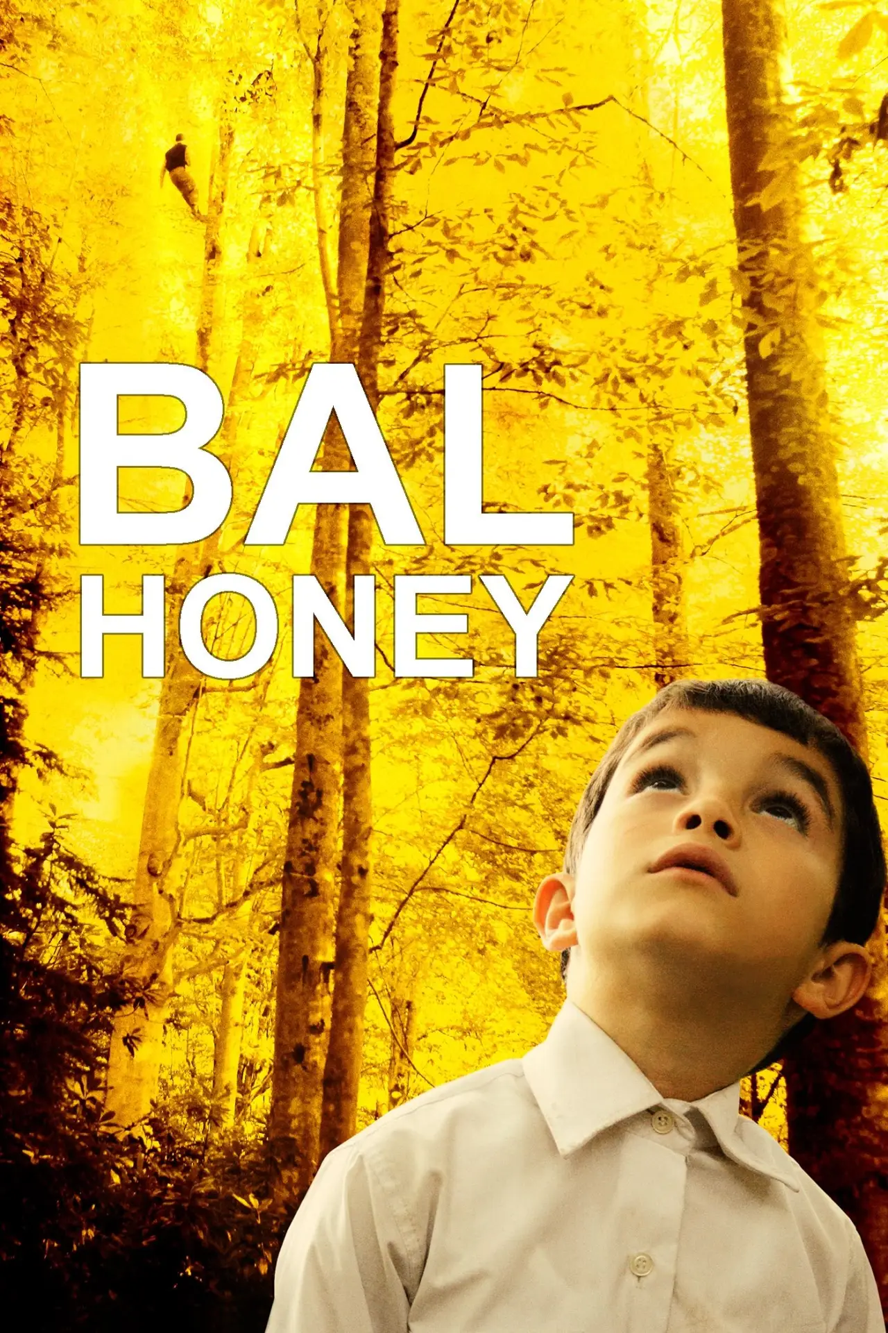 Постер до фільму "Bal"