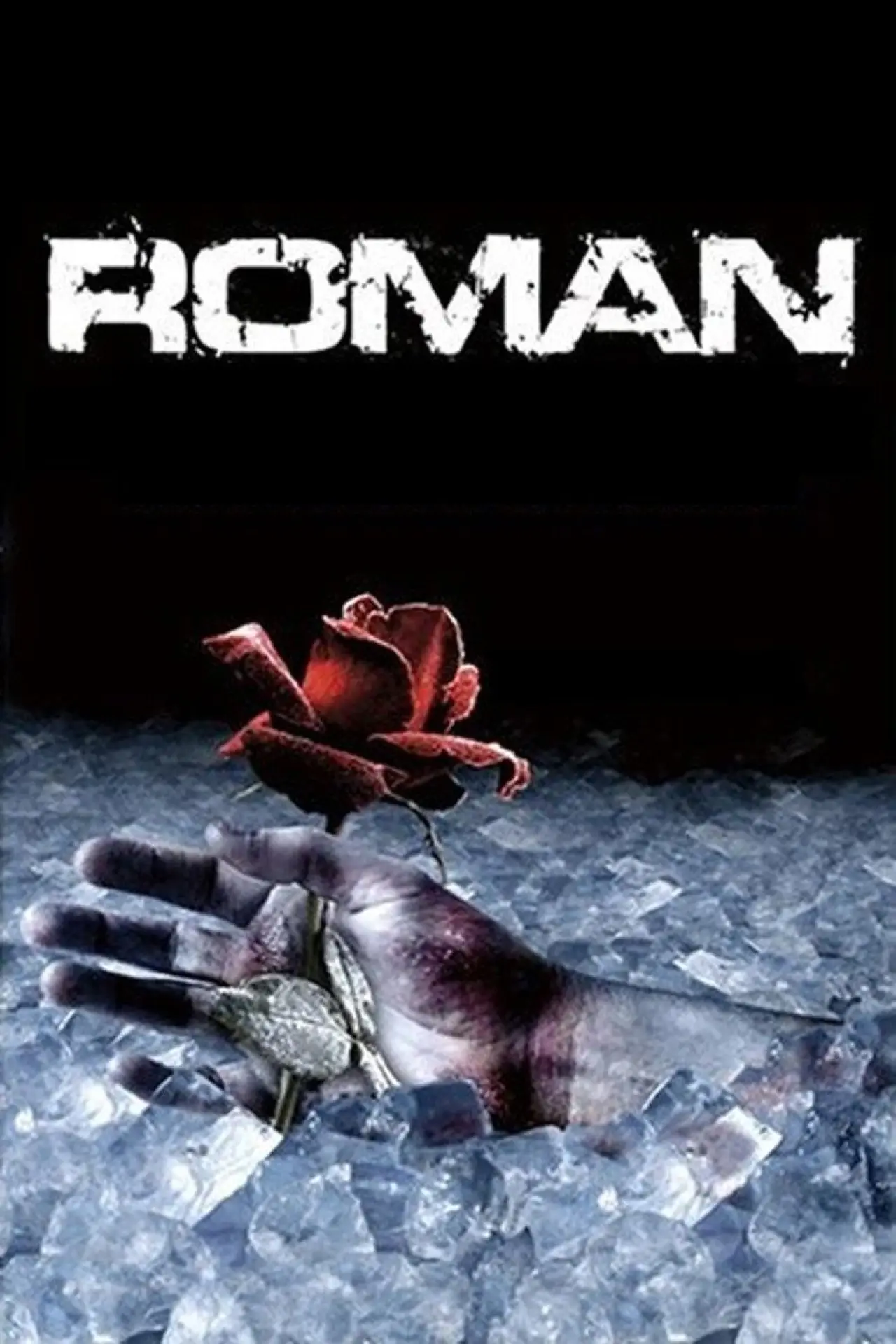 Постер до фільму "Roman"