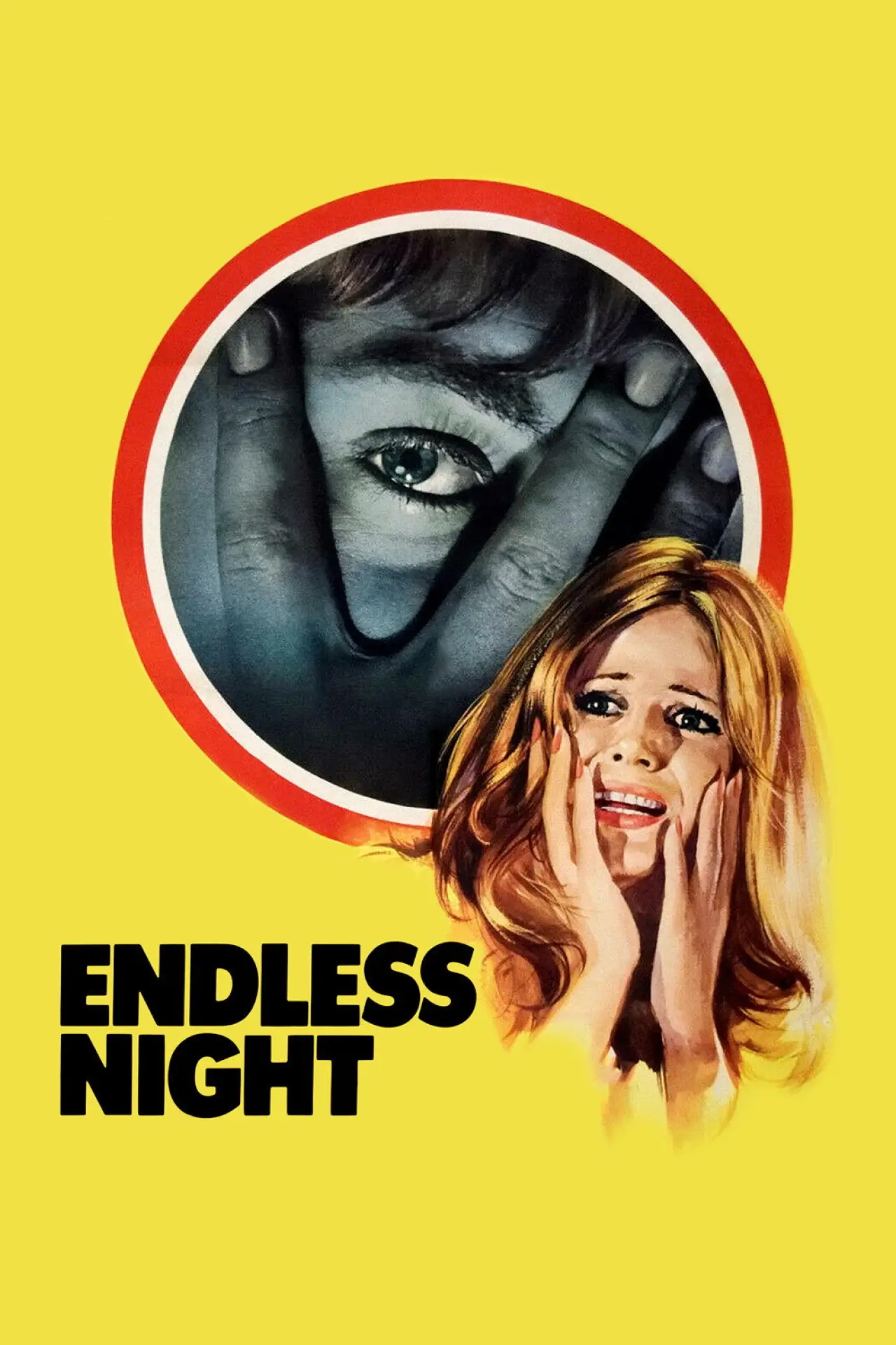 Постер до фільму "Endless Night"