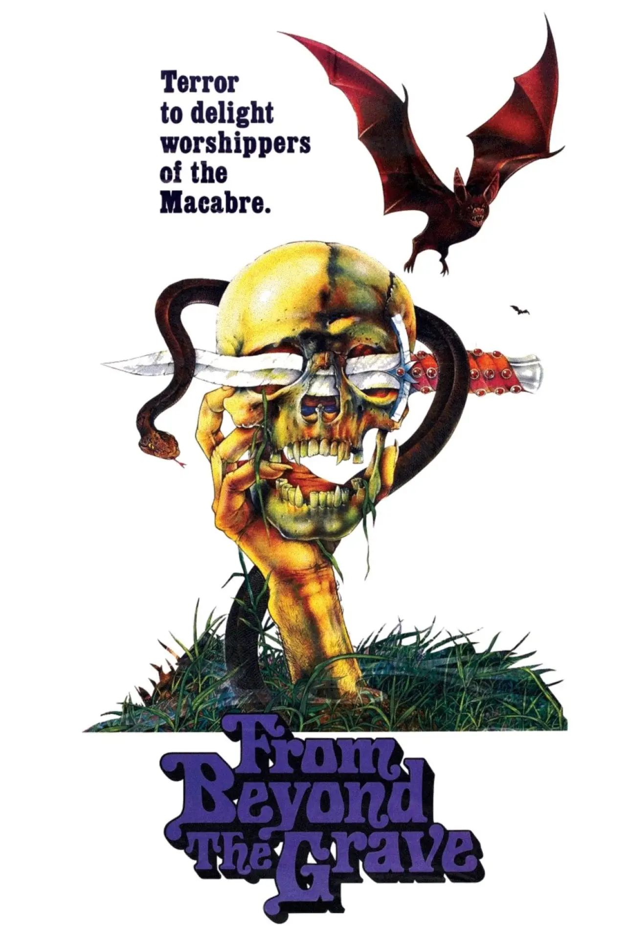 Постер до фільму "From Beyond the Grave"