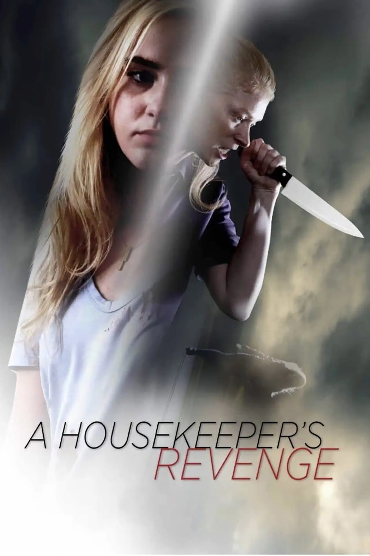 Постер до фільму "A Housekeeper