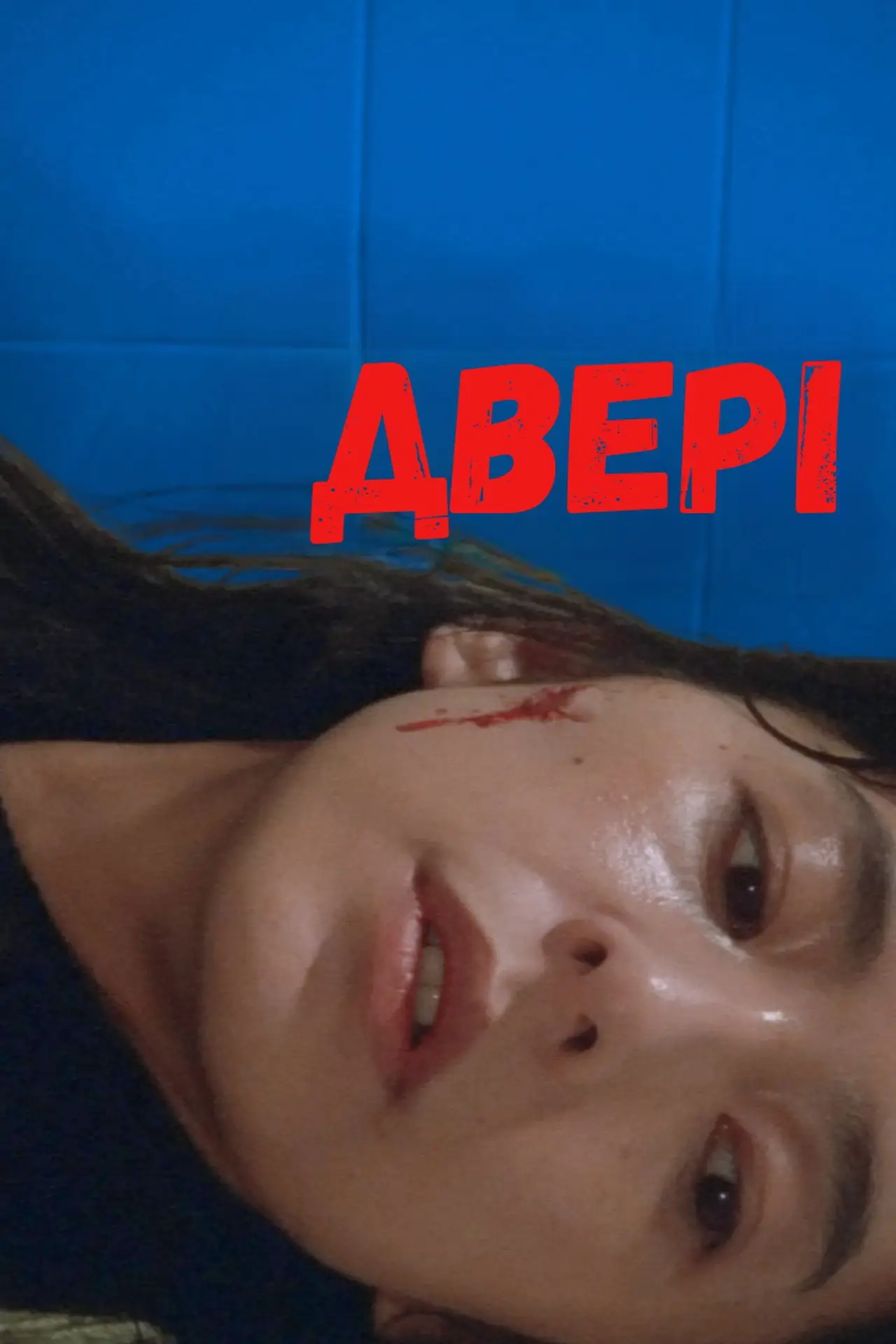 Постер до фільму "ДВЕРІ"