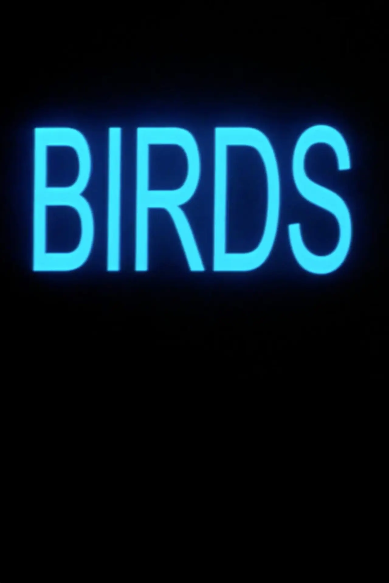 Постер до фільму "Birds"