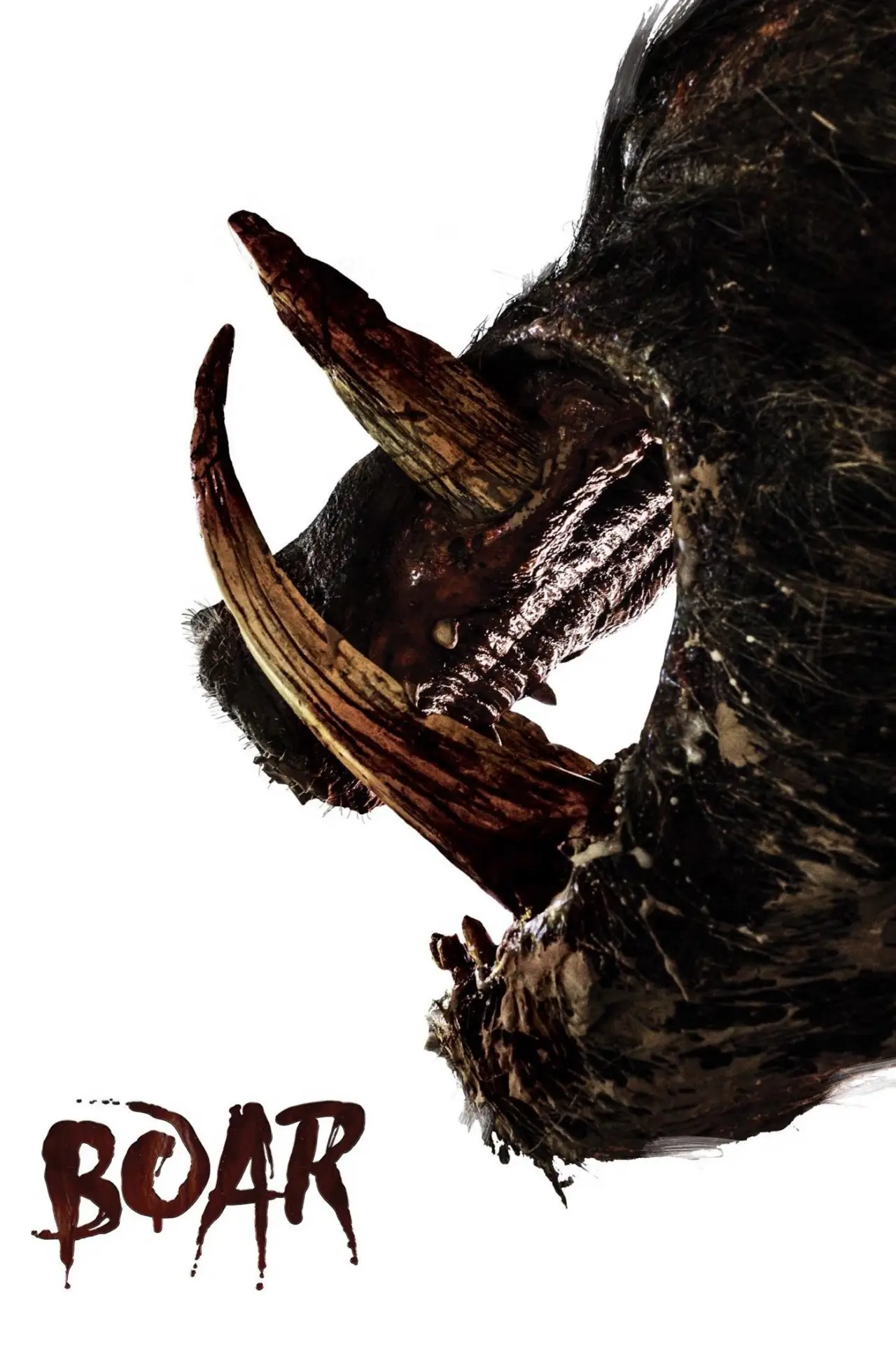 Постер до фільму "Boar"