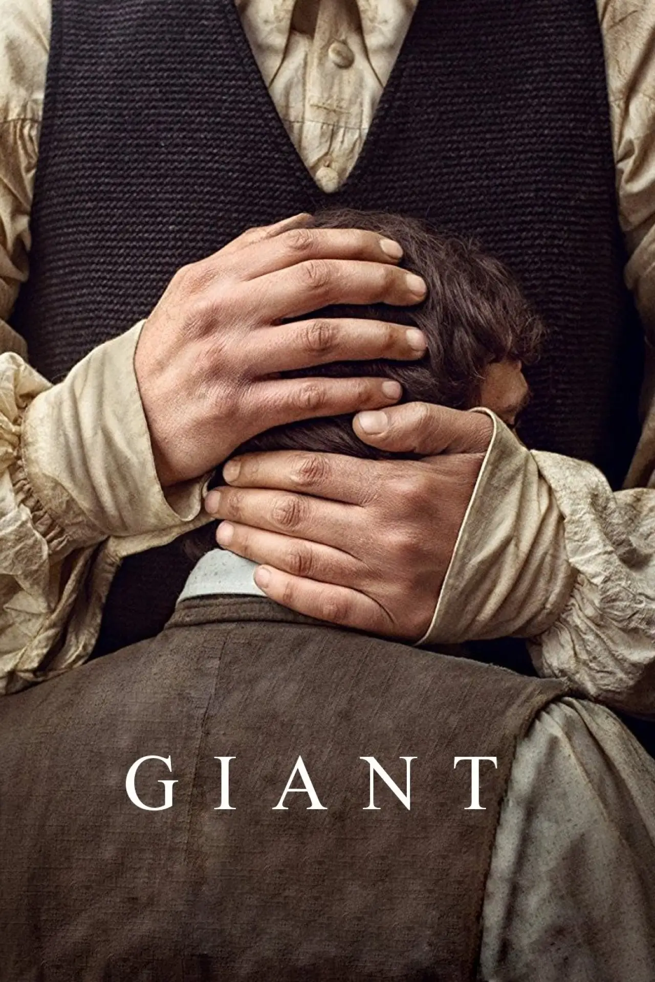 Постер до фільму "Handia"