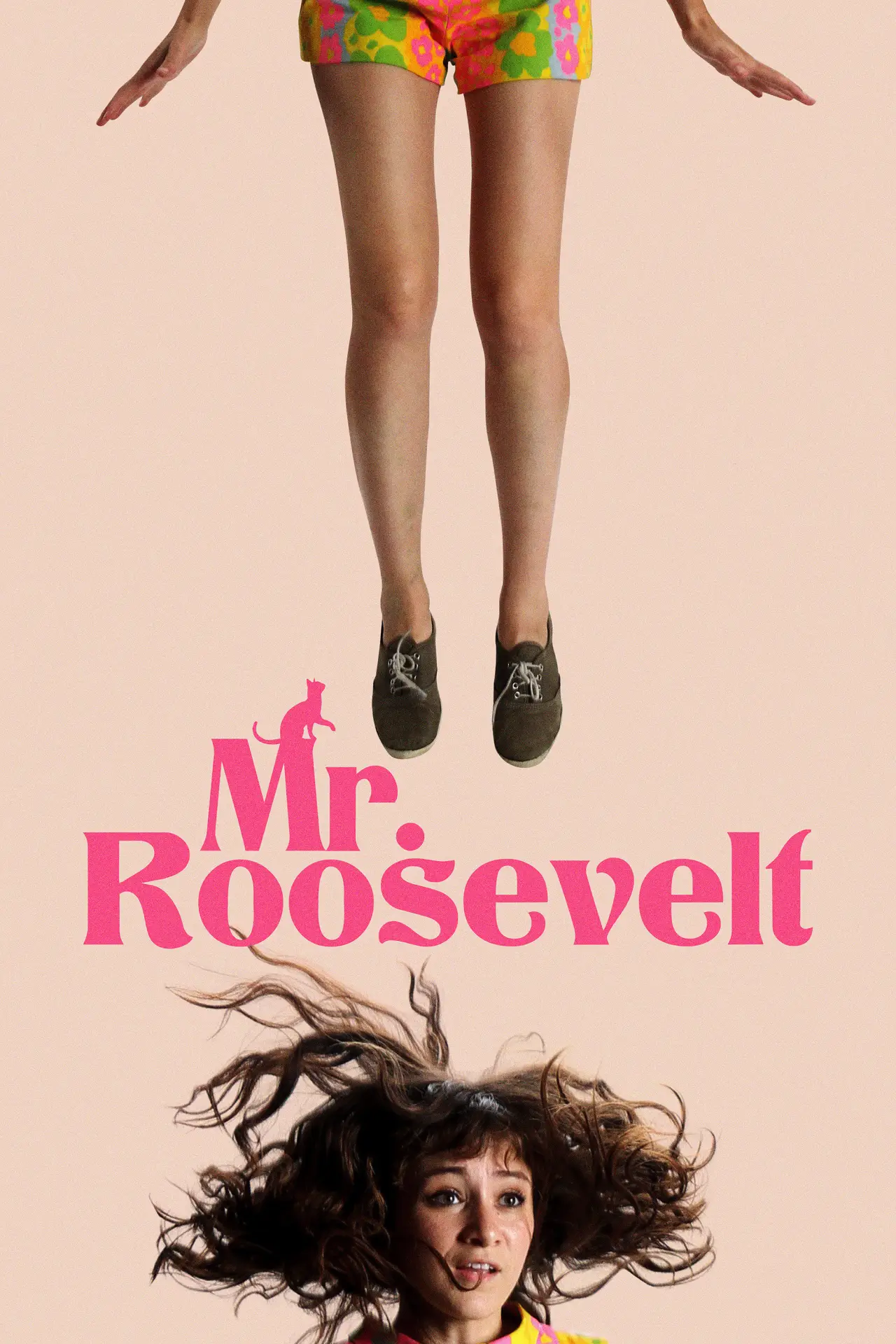Постер до фільму "Mr. Roosevelt"