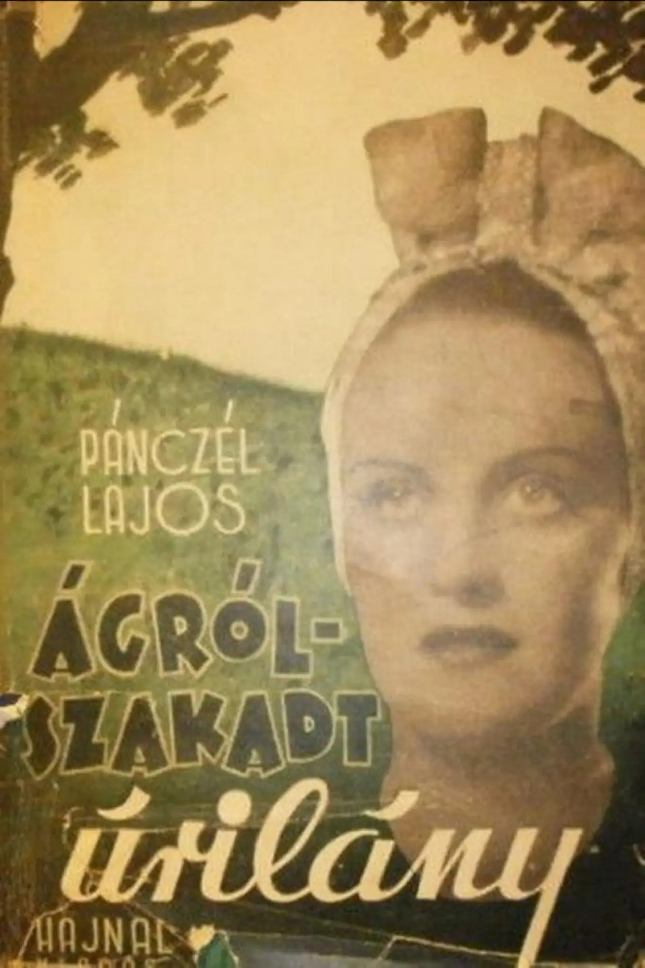 Постер до фільму "Ágrólszakadt úrilány"