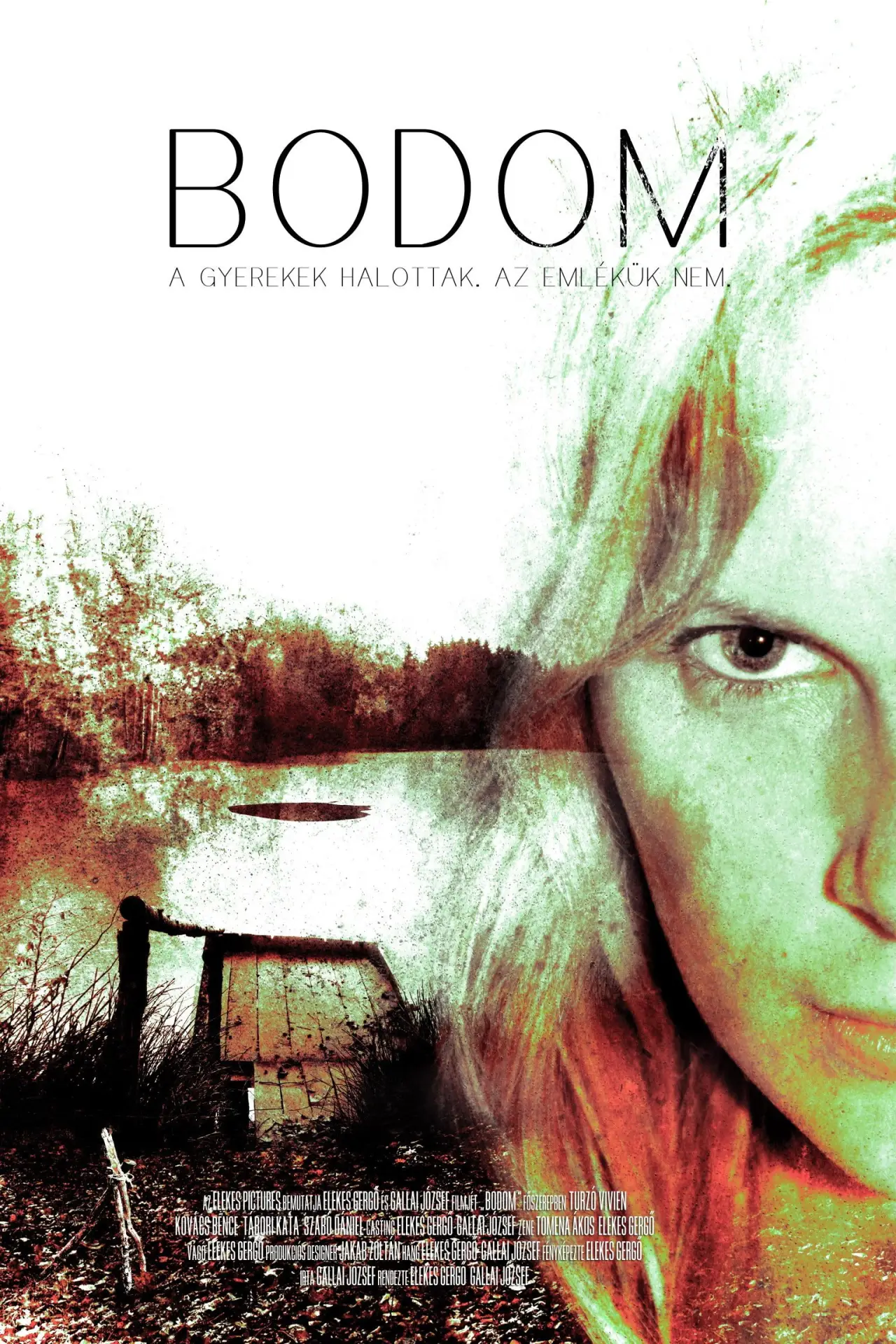 Постер до фільму "Bodom"