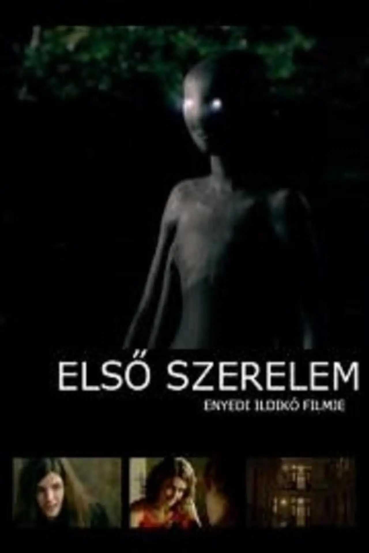 Постер до фільму "Első szerelem"