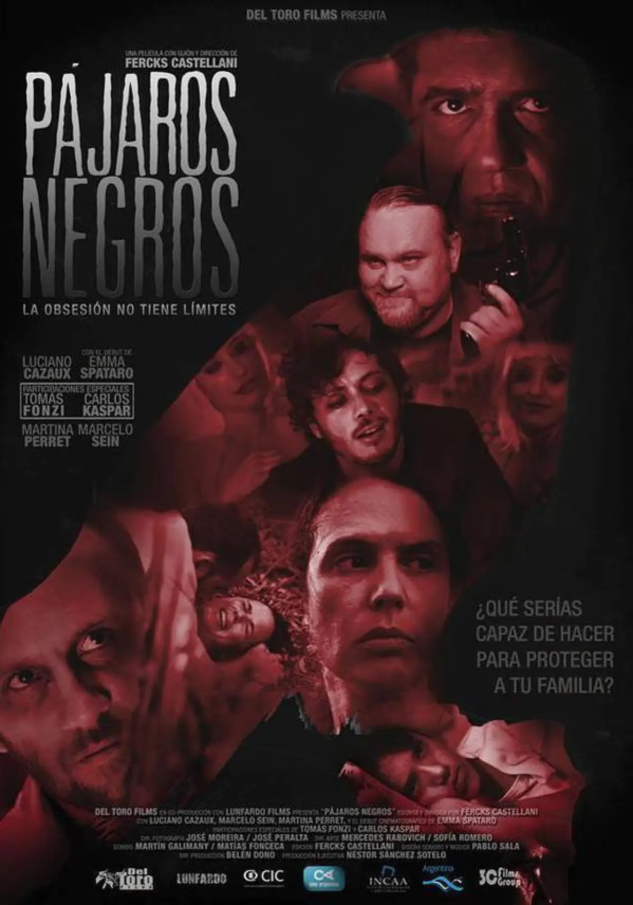 Постер до фільму "Pájaros negros"