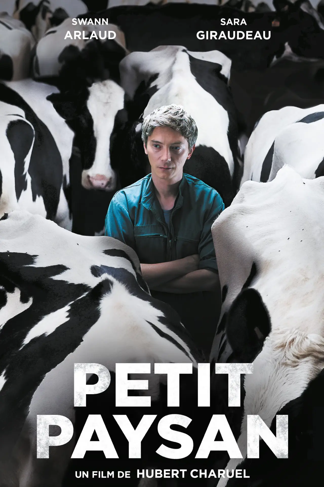 Постер до фільму "Petit Paysan"