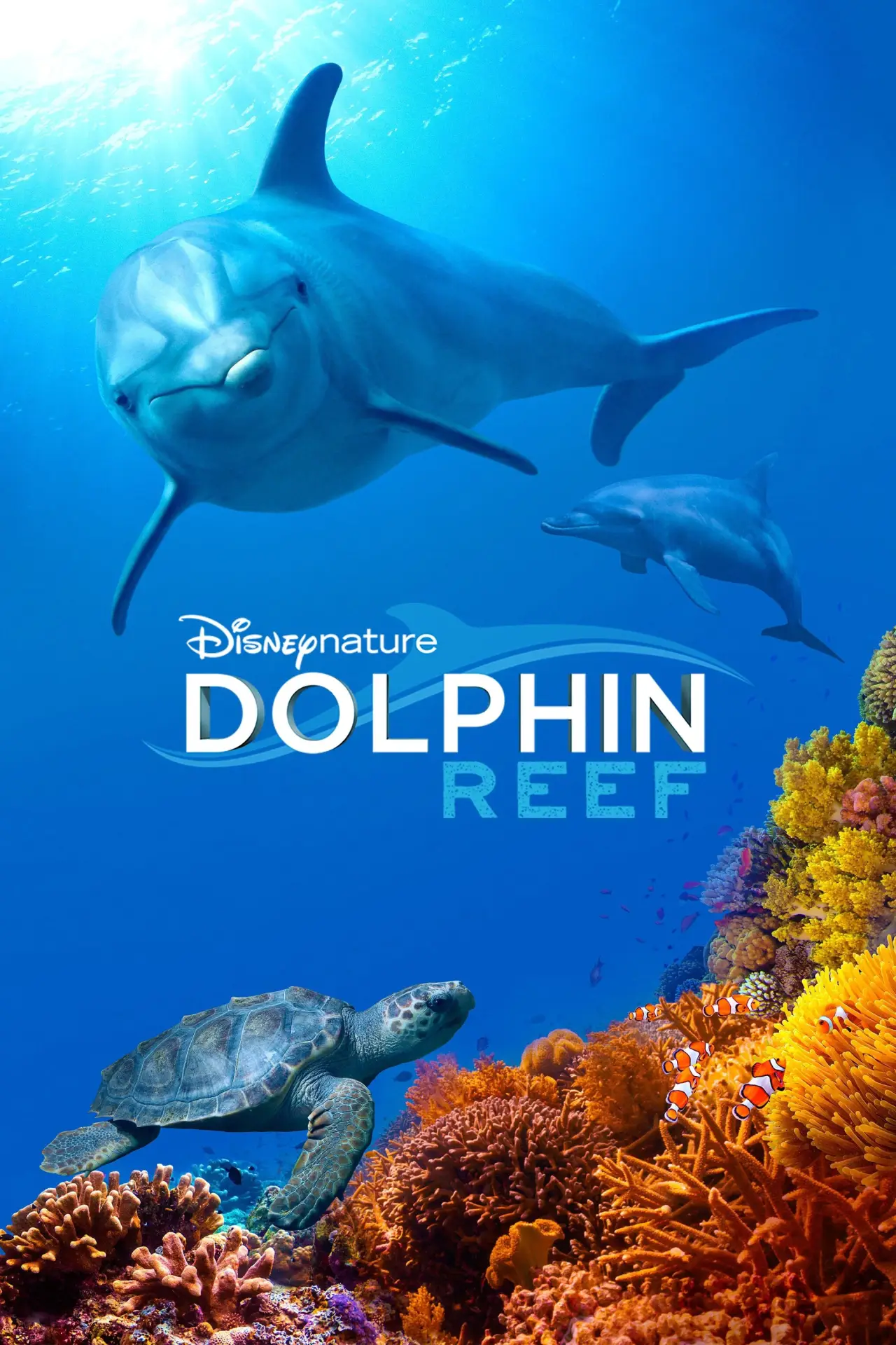 Постер до фільму "Dolphin Reef"