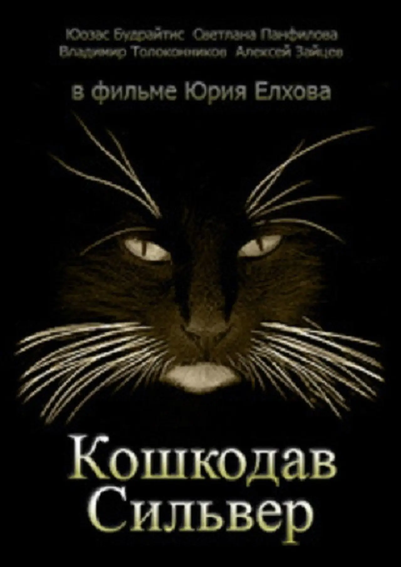 Постер до фільму "Кошкодав Сильвер"
