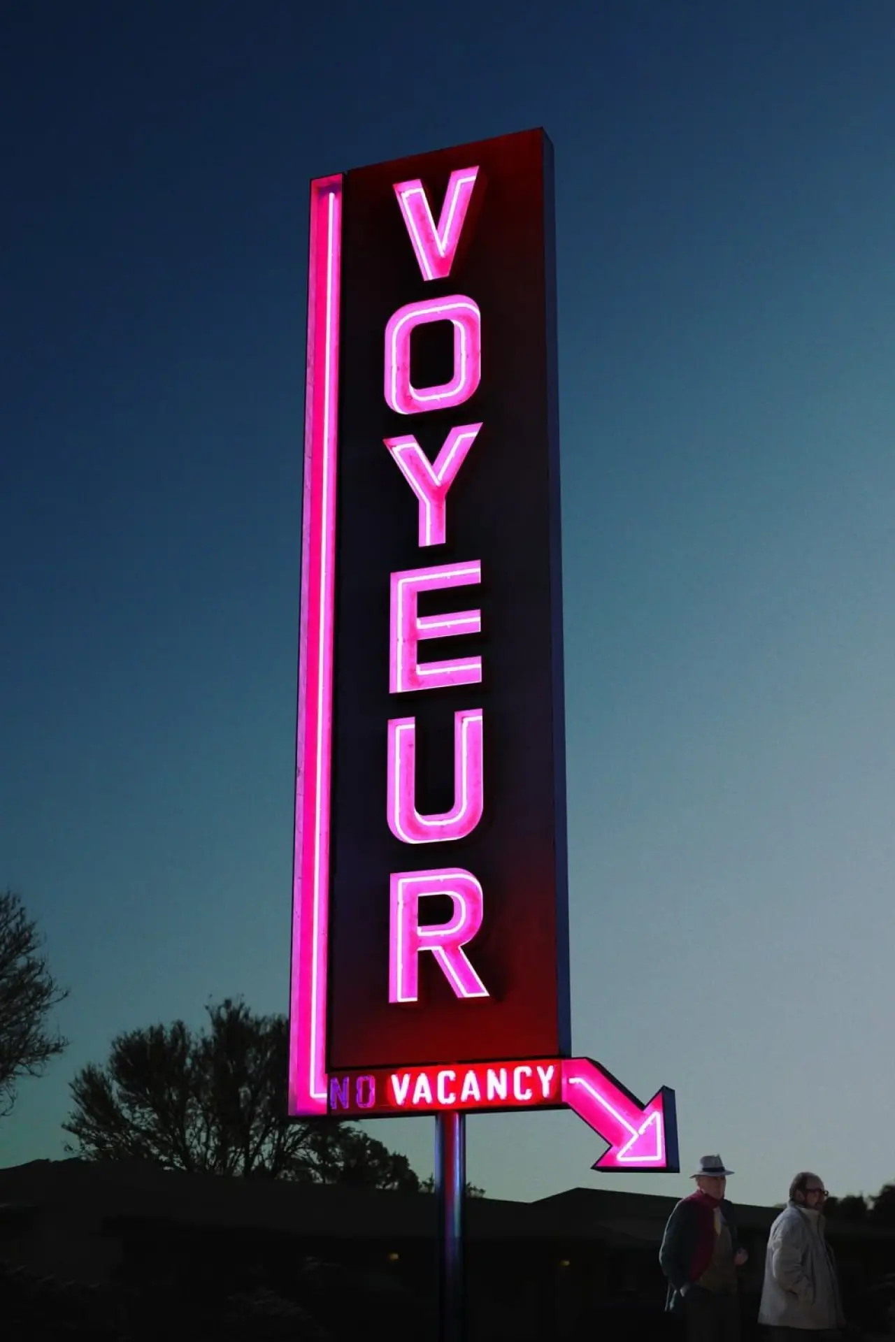 Постер до фільму "Voyeur"