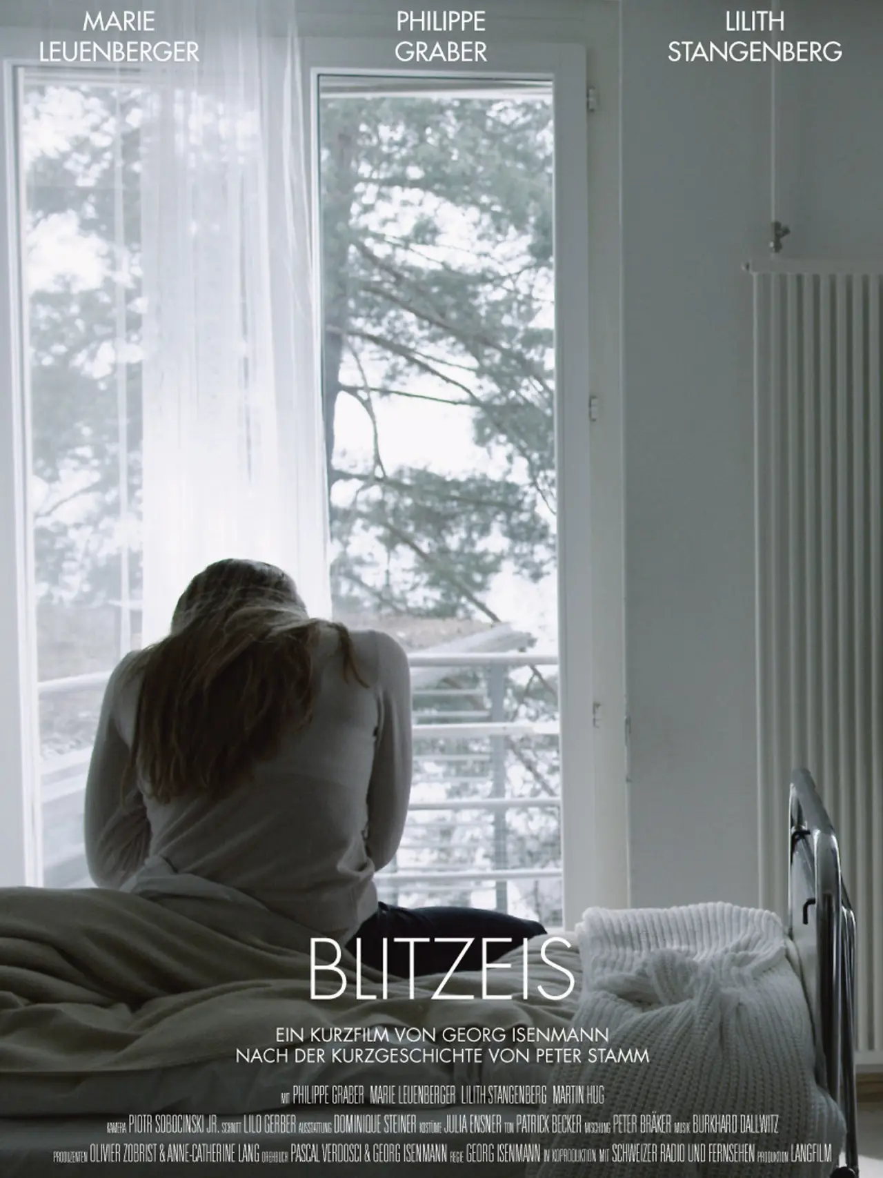 Постер до фільму "Blitzeis"
