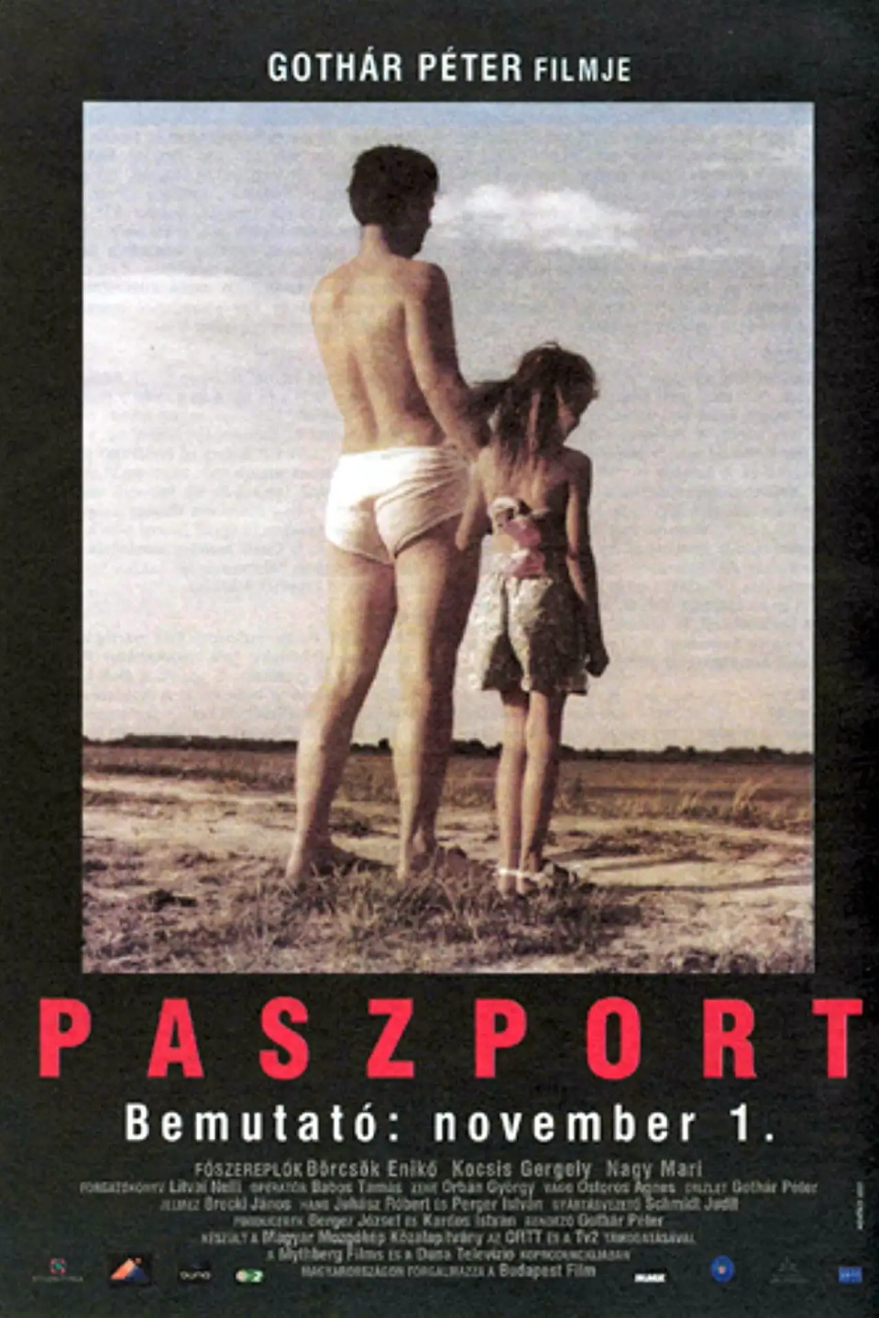 Постер до фільму "Paszport"