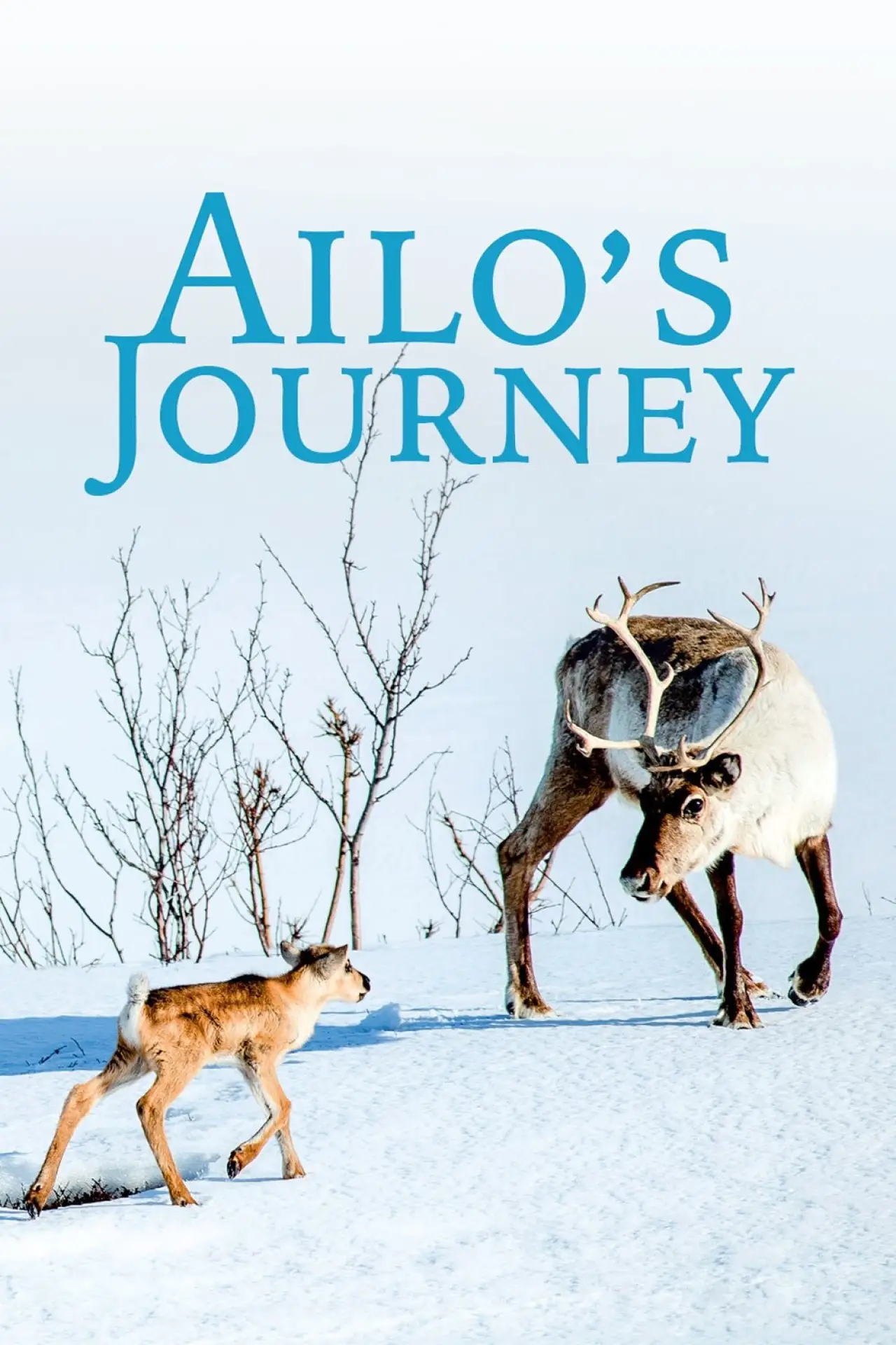 Постер до фільму "Aïlo : Une odyssée en Laponie"