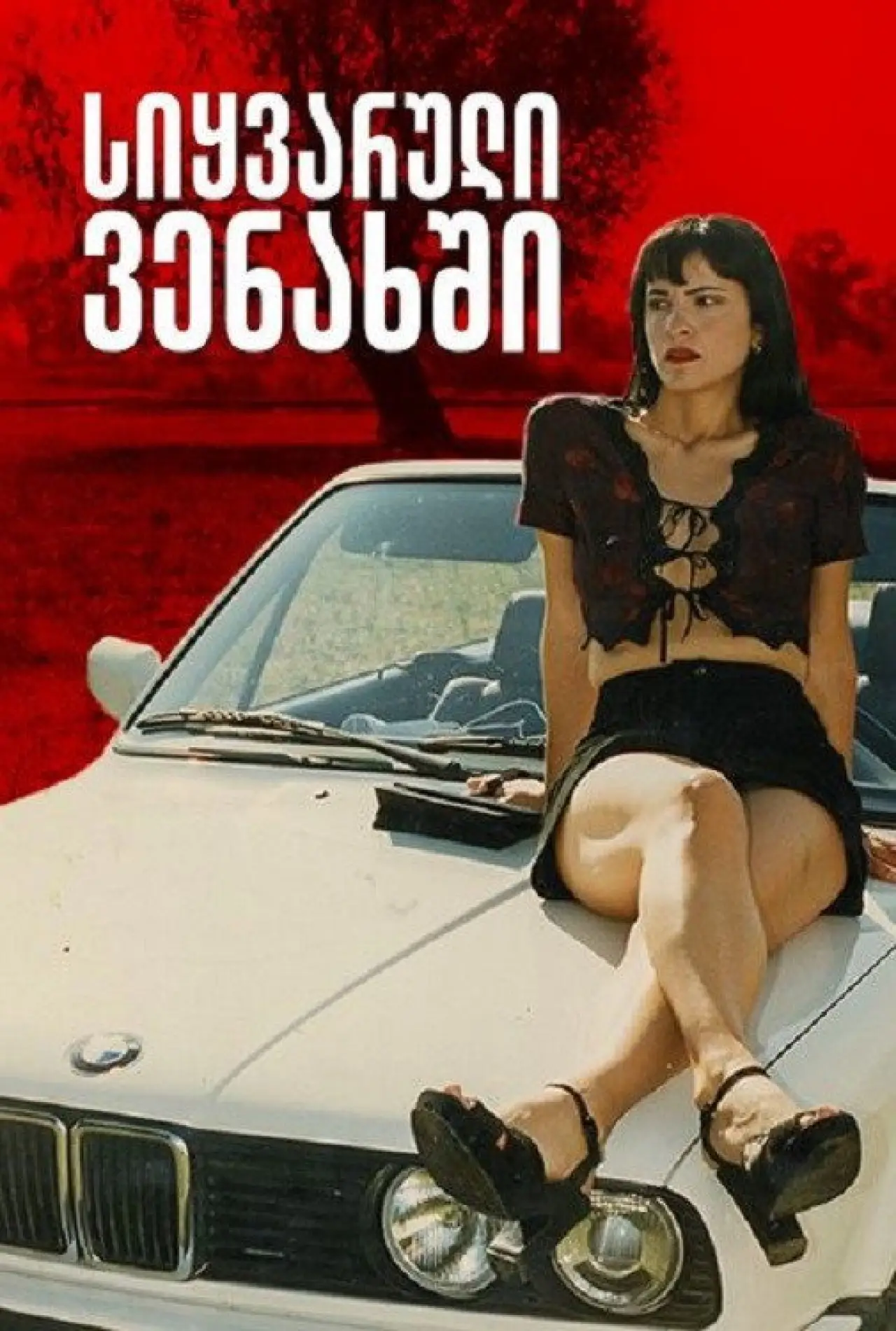 Постер до фільму "Georgian Grapes"