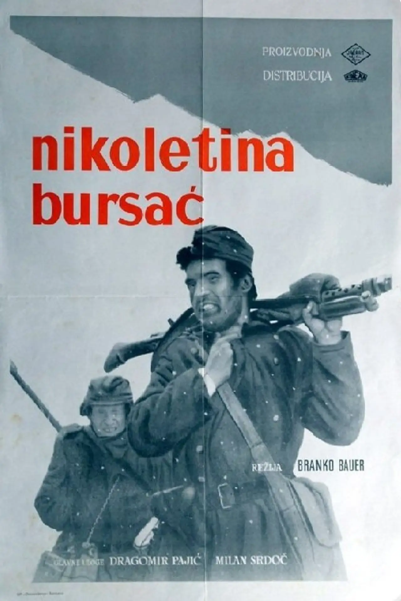 Постер до фільму "Nikoletina Bursać"