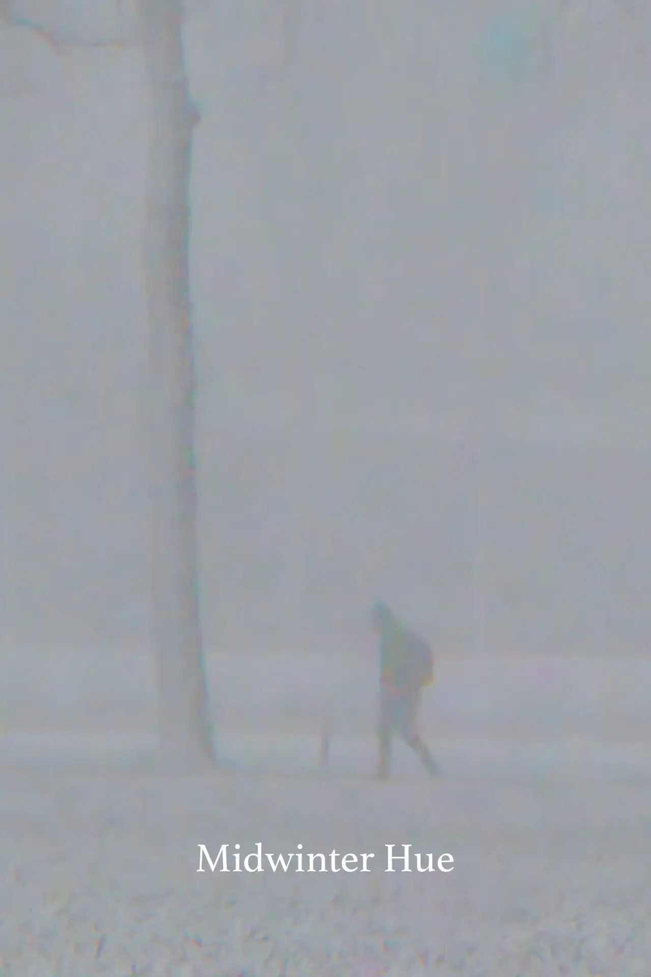 Постер до фільму "Midwinter Hue"