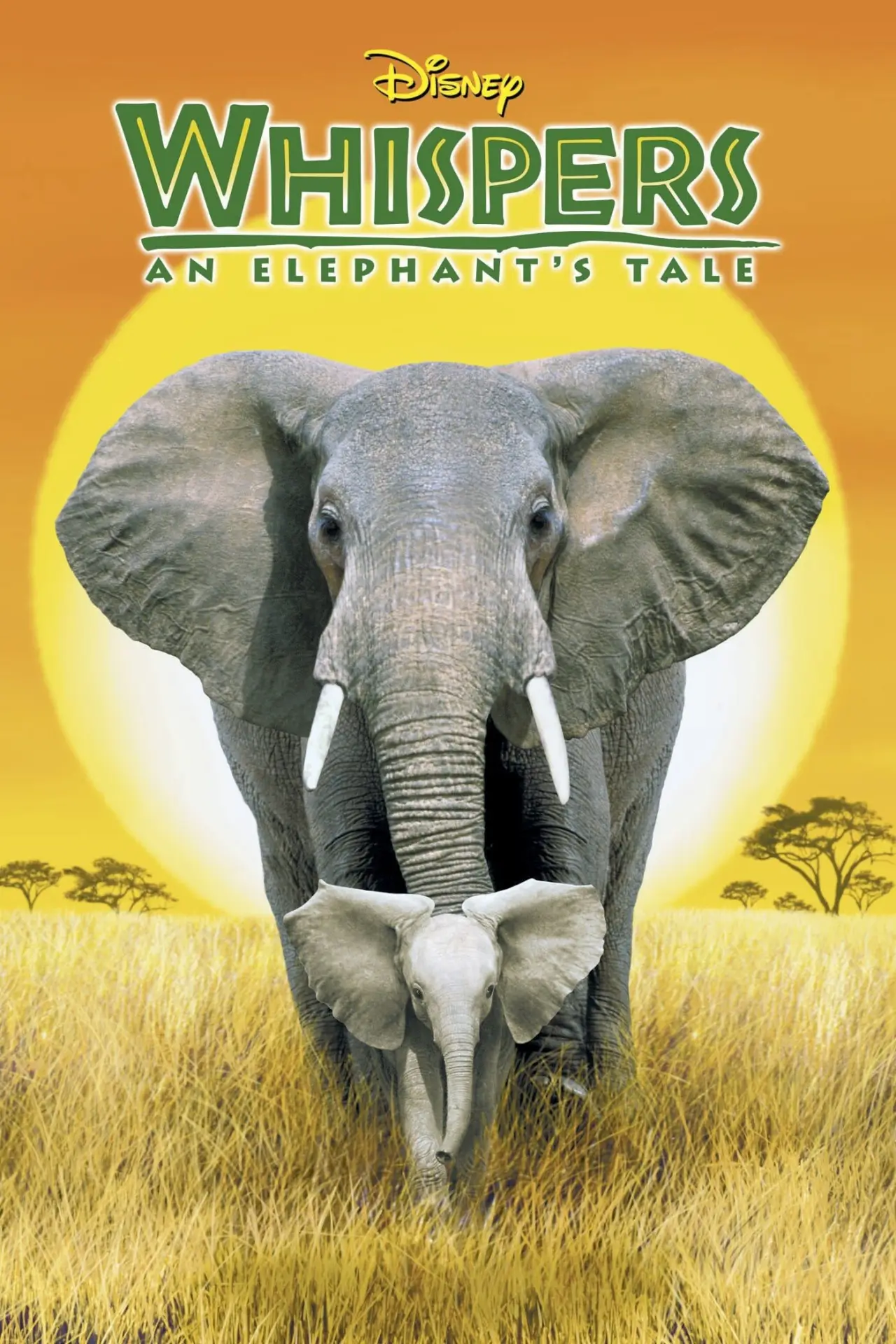 Постер до фільму "Whispers: An Elephant