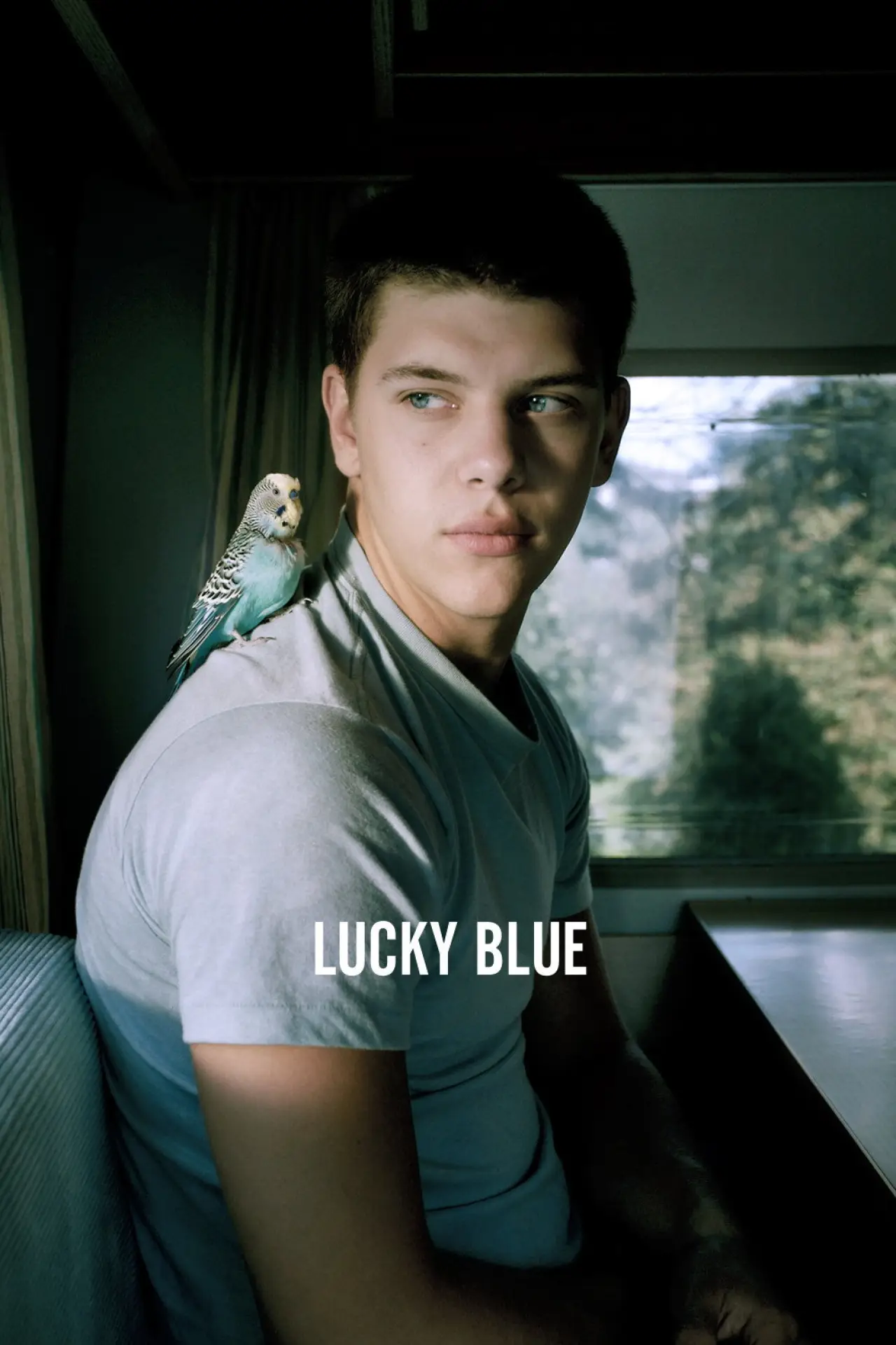 Постер до фільму "Lucky Blue"